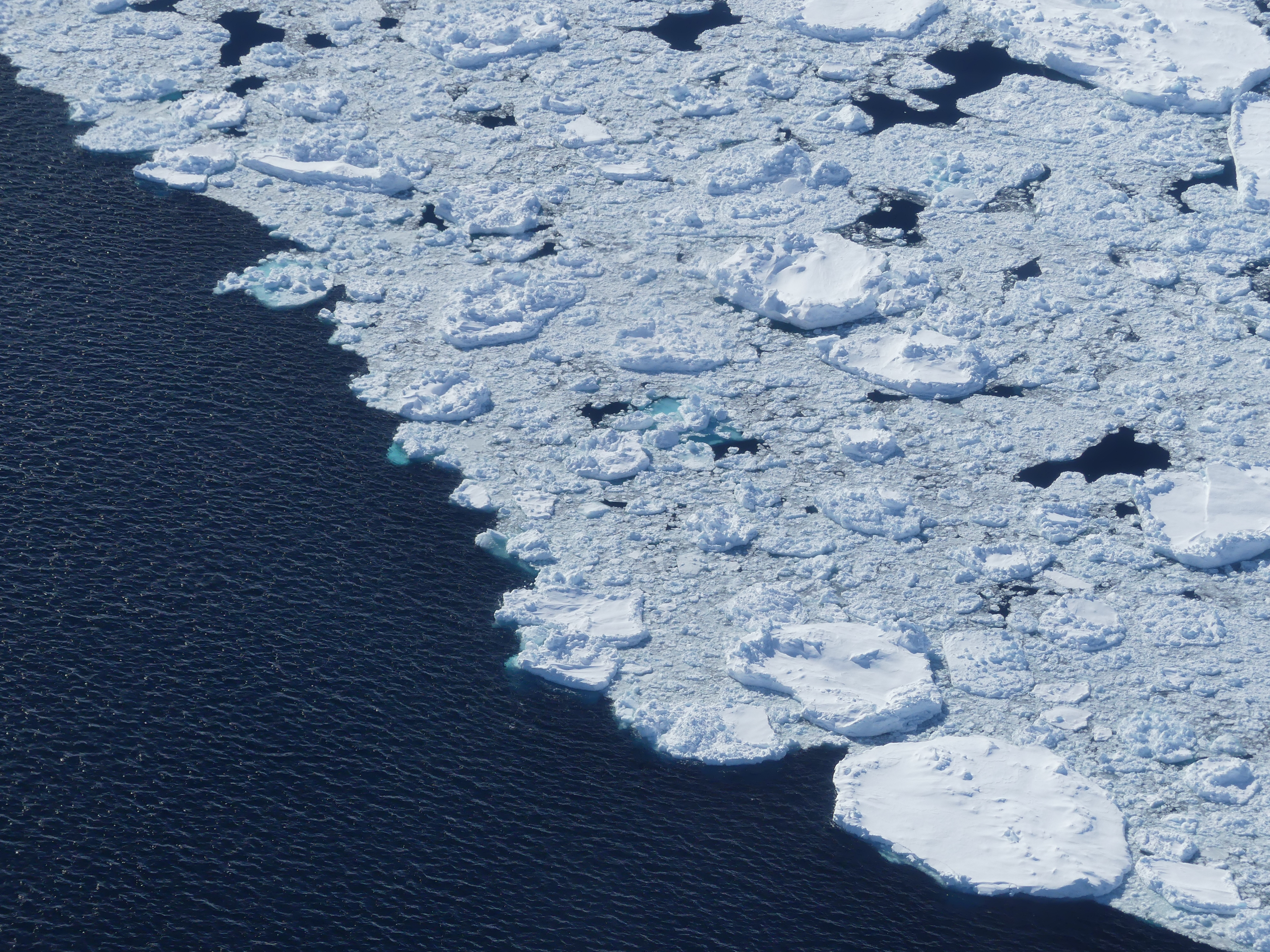 Edge of the pack ice