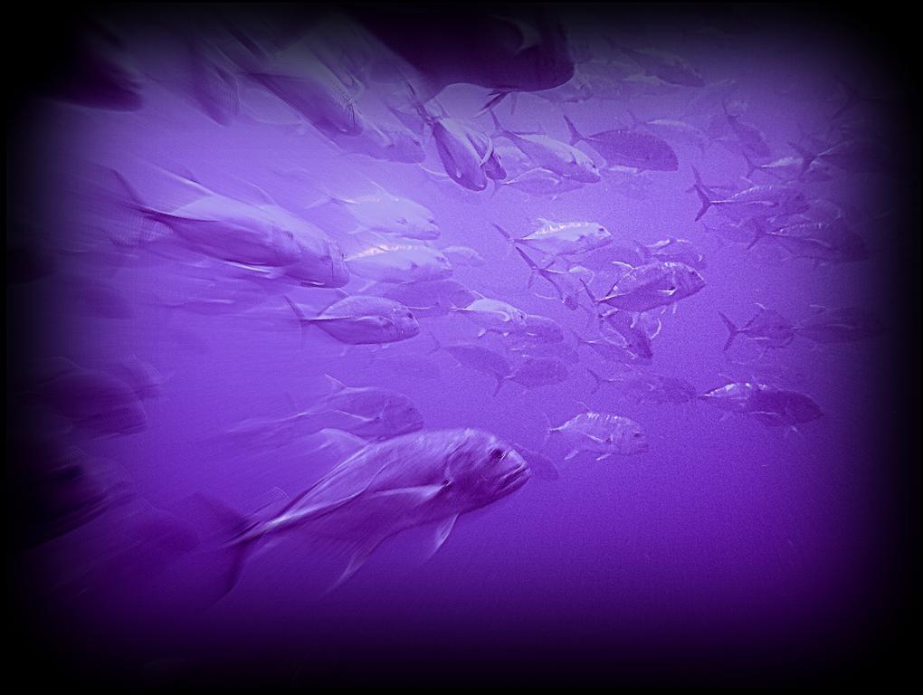 Egypt-august2008 056 - Copy