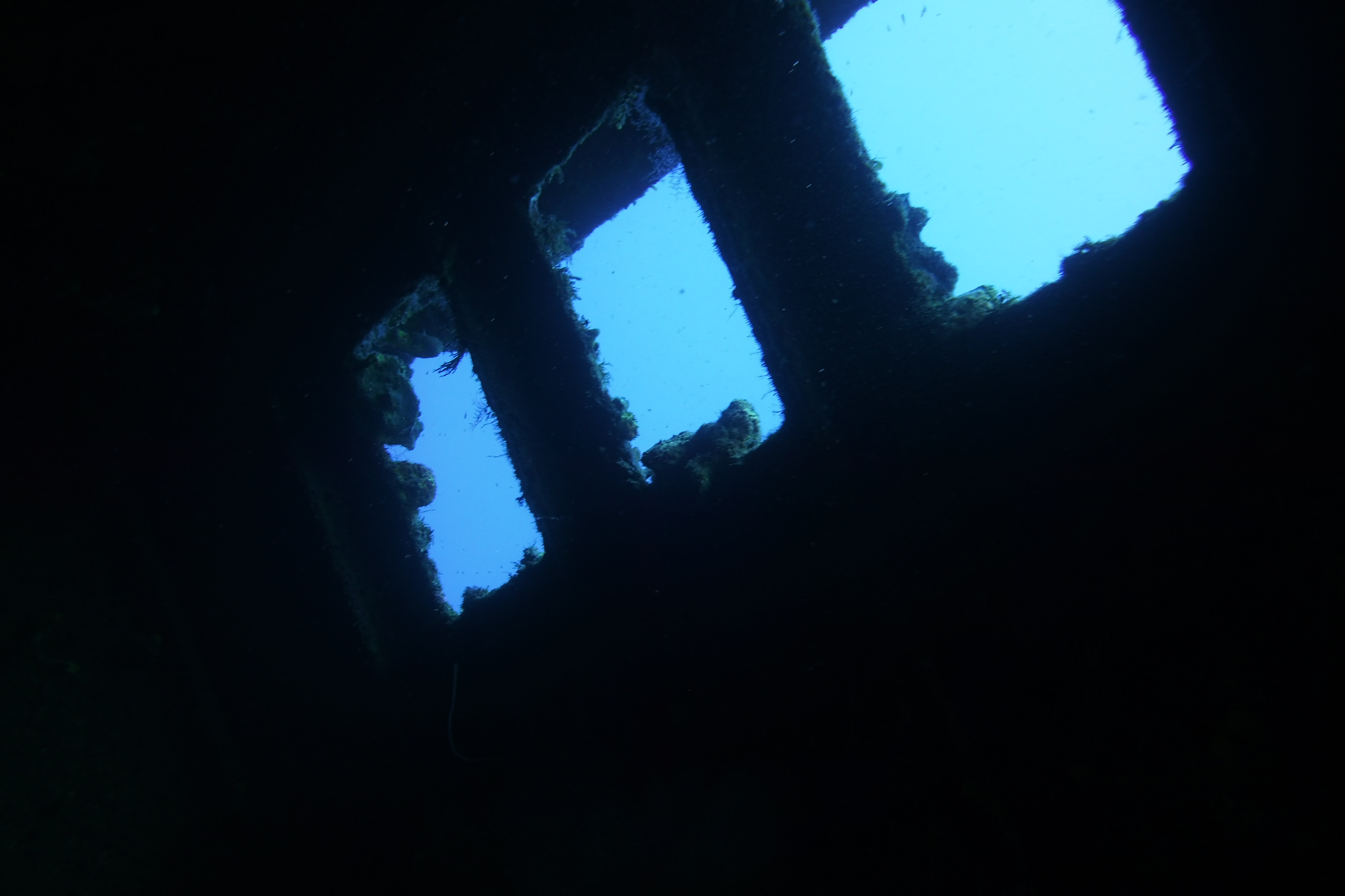 El Aguila wreck looking out