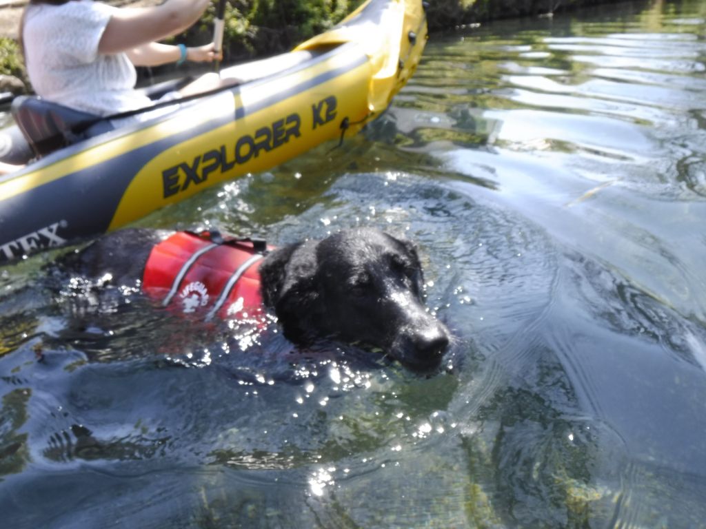 Ellie Bear likes the water