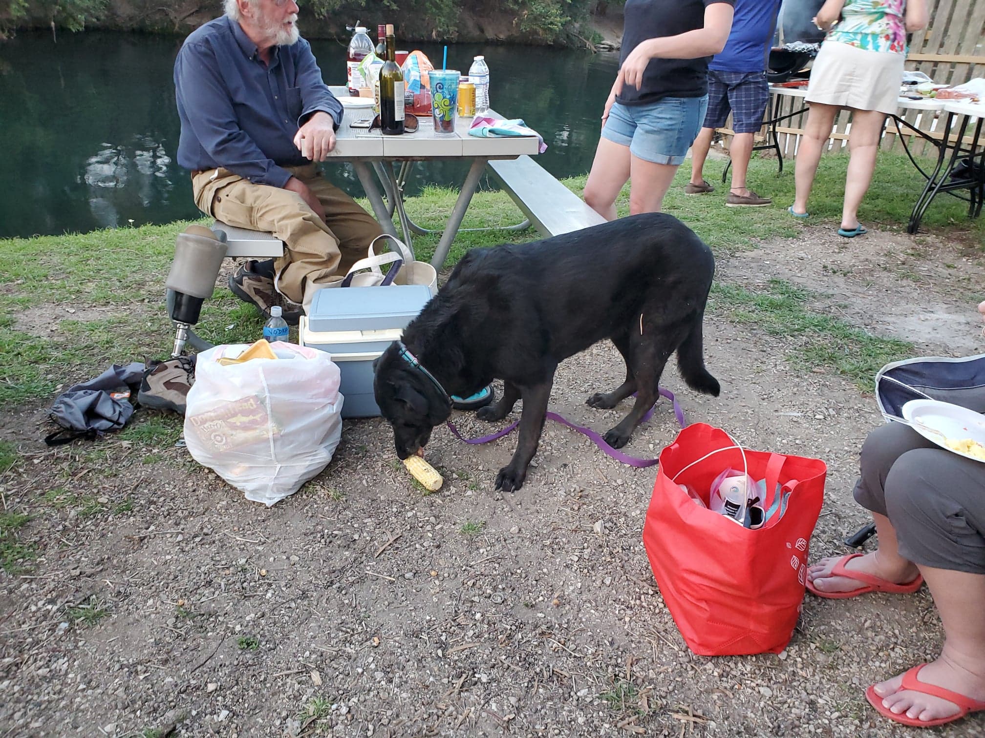 Ellie LOVES Corn on the Cob