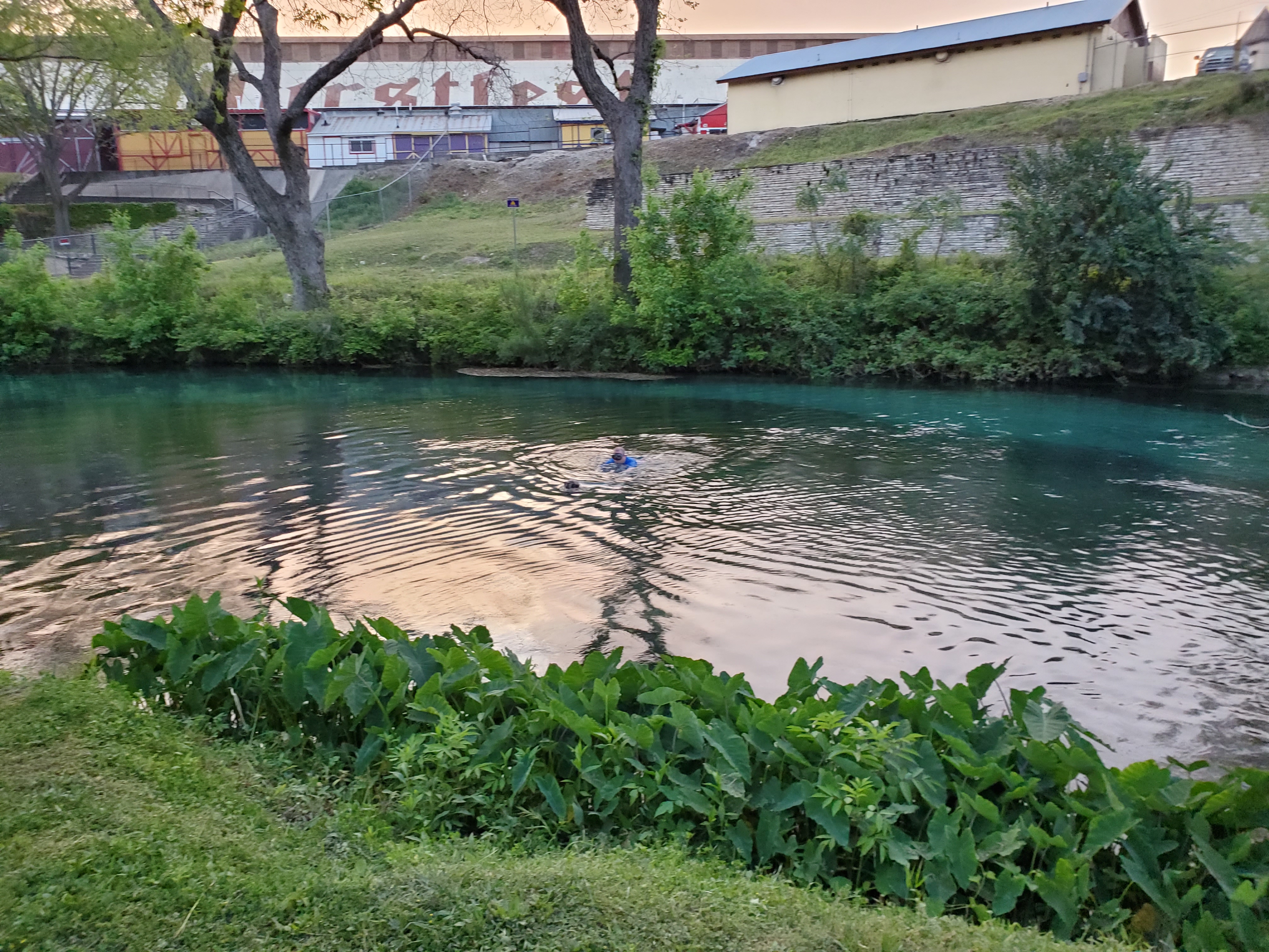 Evening Swim