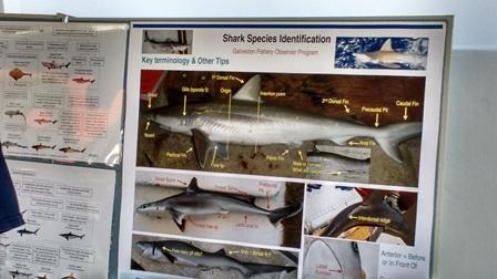 Exhibits galore