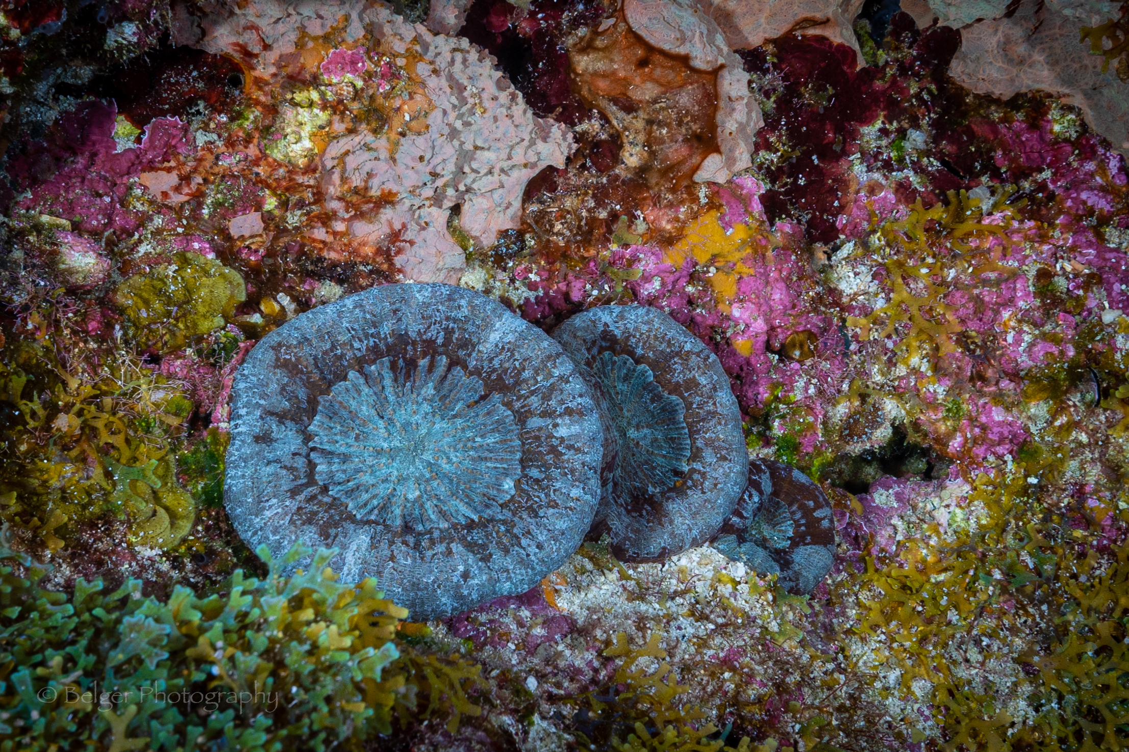 F05A5656.jpg