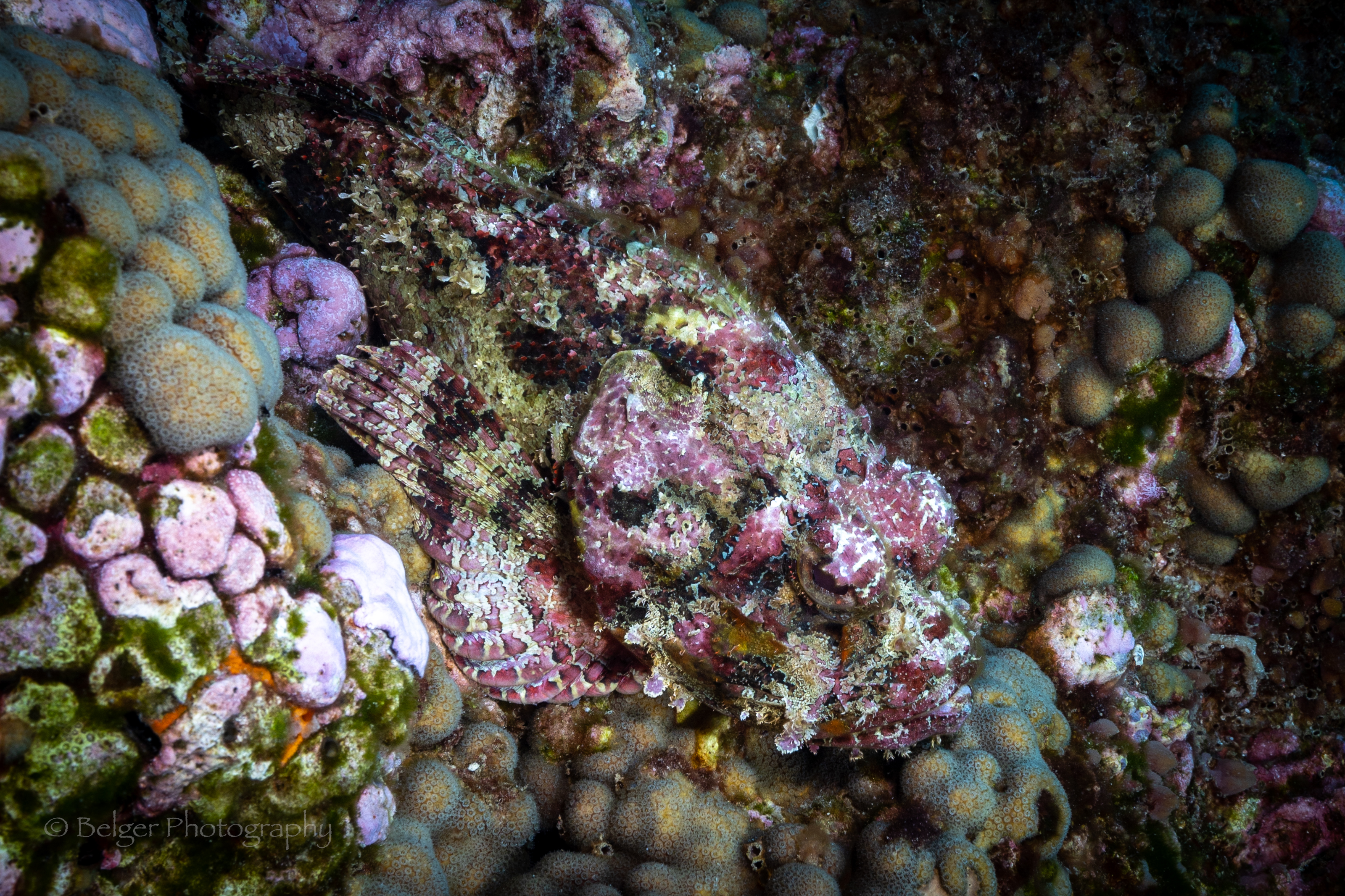 F05A5745.jpg