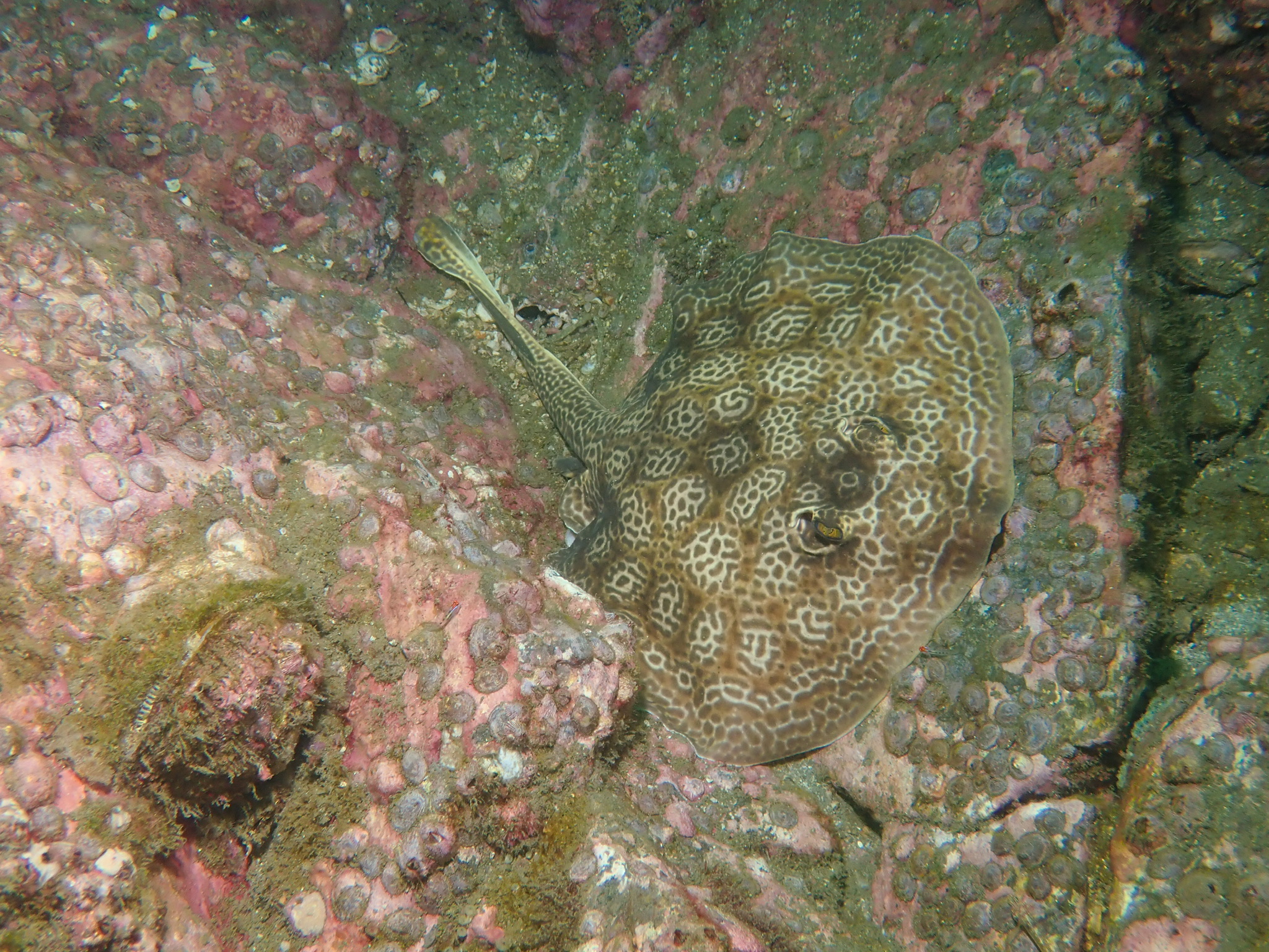 F3A039AE-DB1A-41E0-B457-30B2E0D9D602