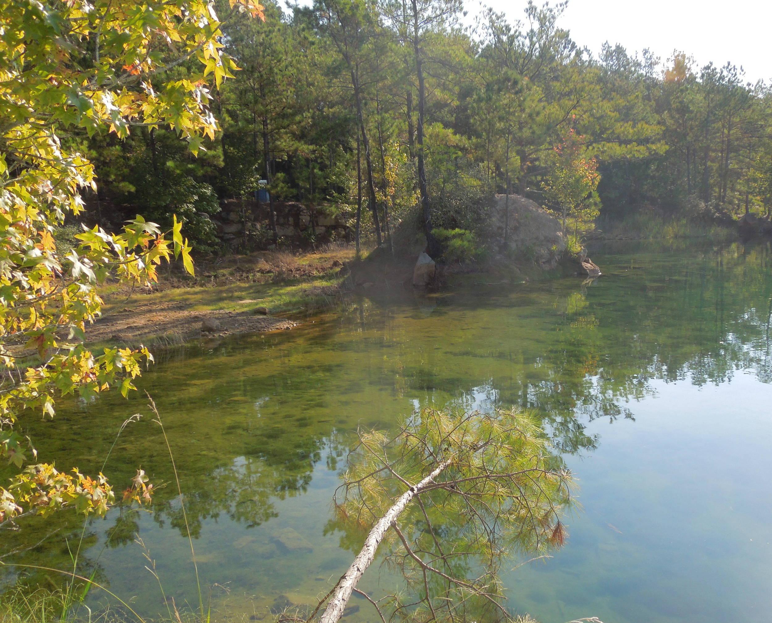 fall at BL