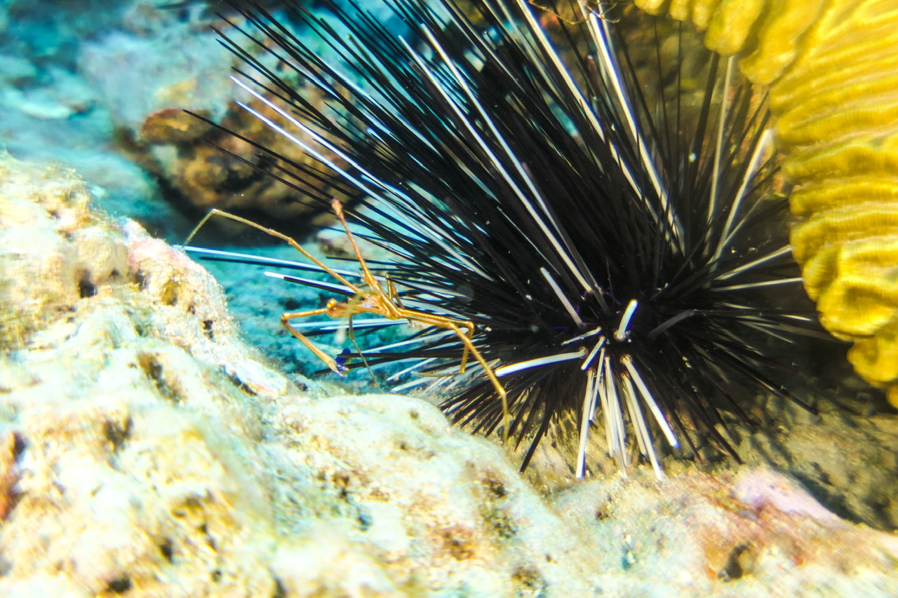 FC0E26C4-7BE7-4006-9109-75D6DF106238