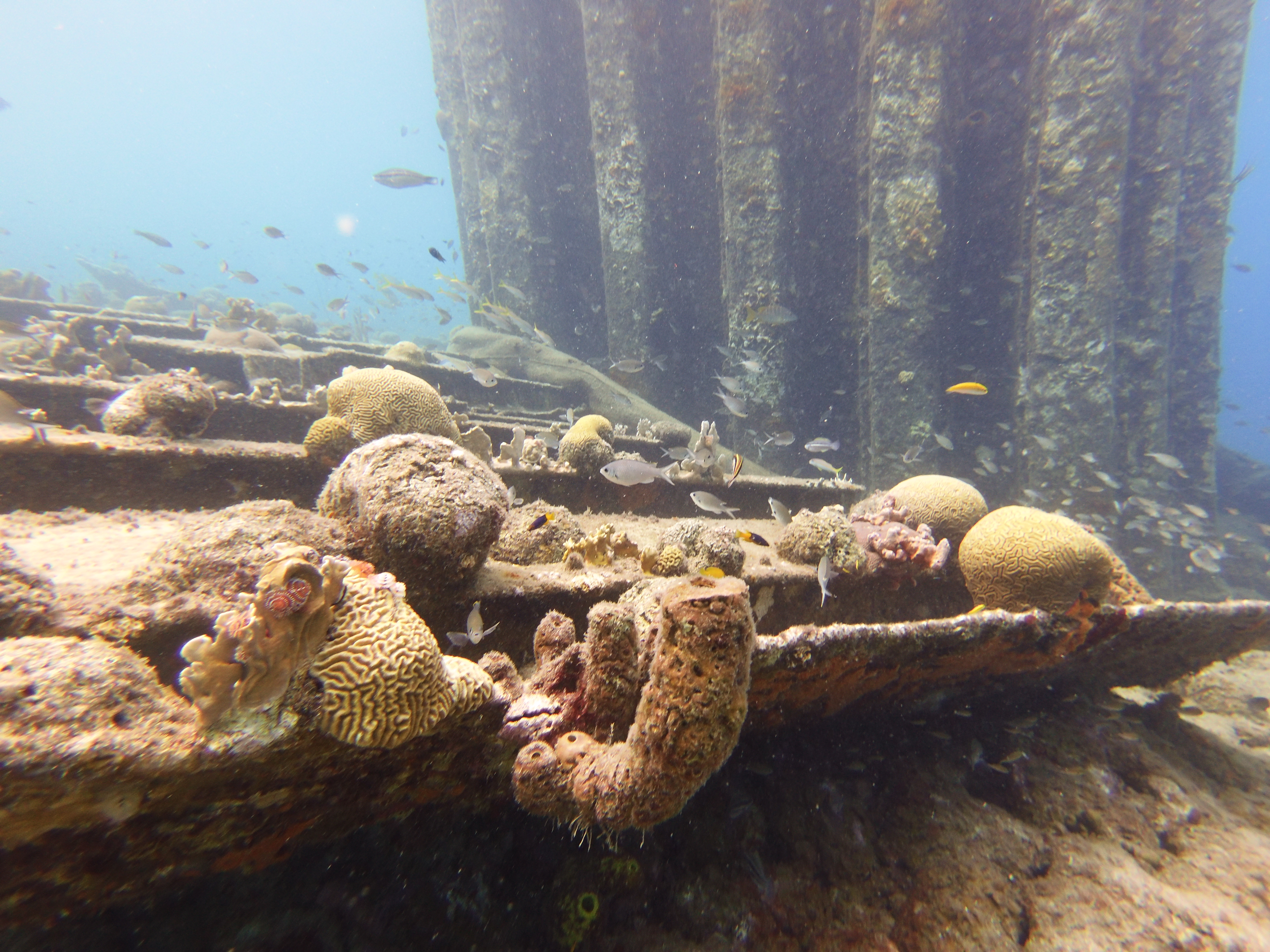 Fishies around some column structure