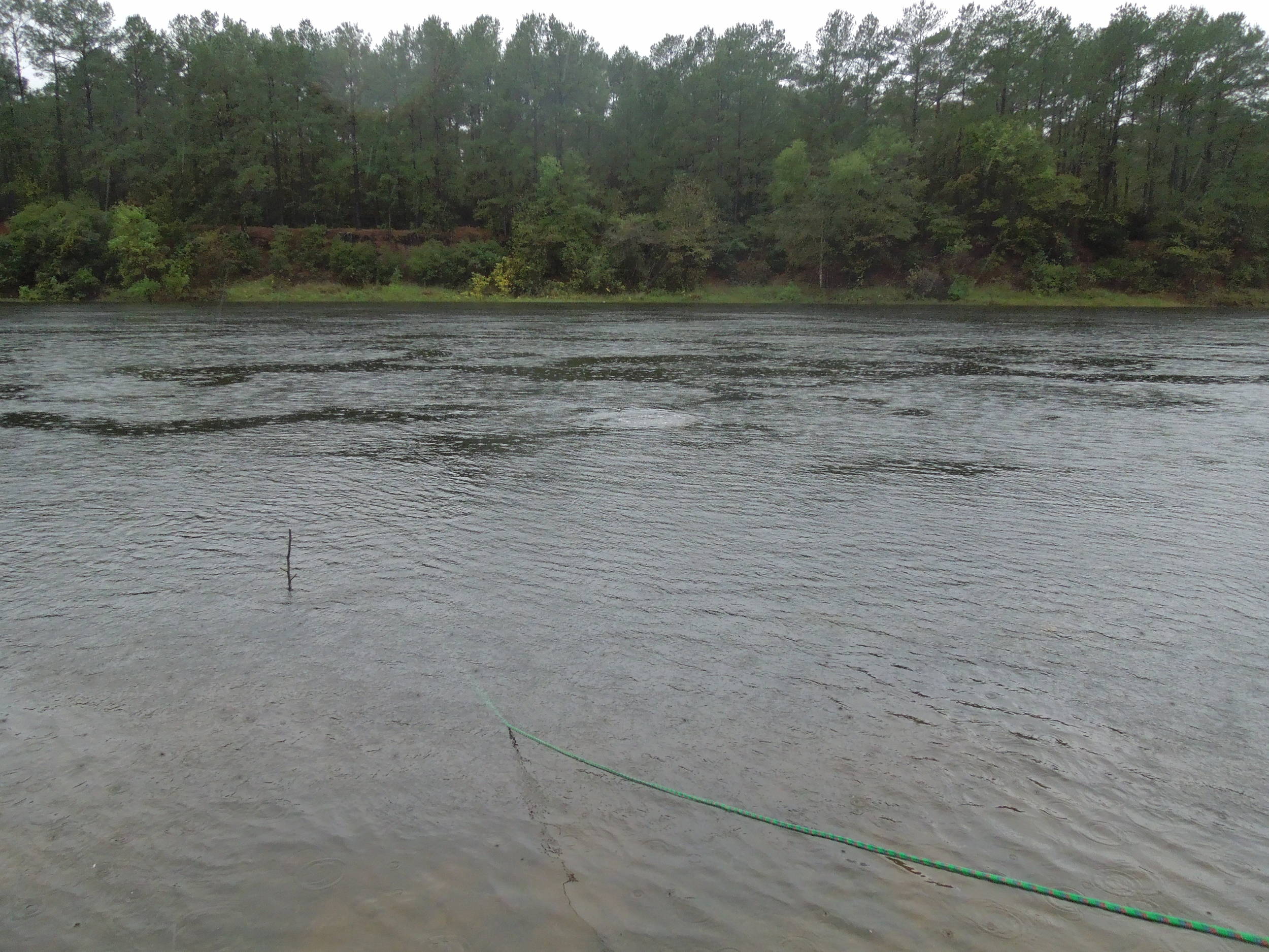 fishing for divers