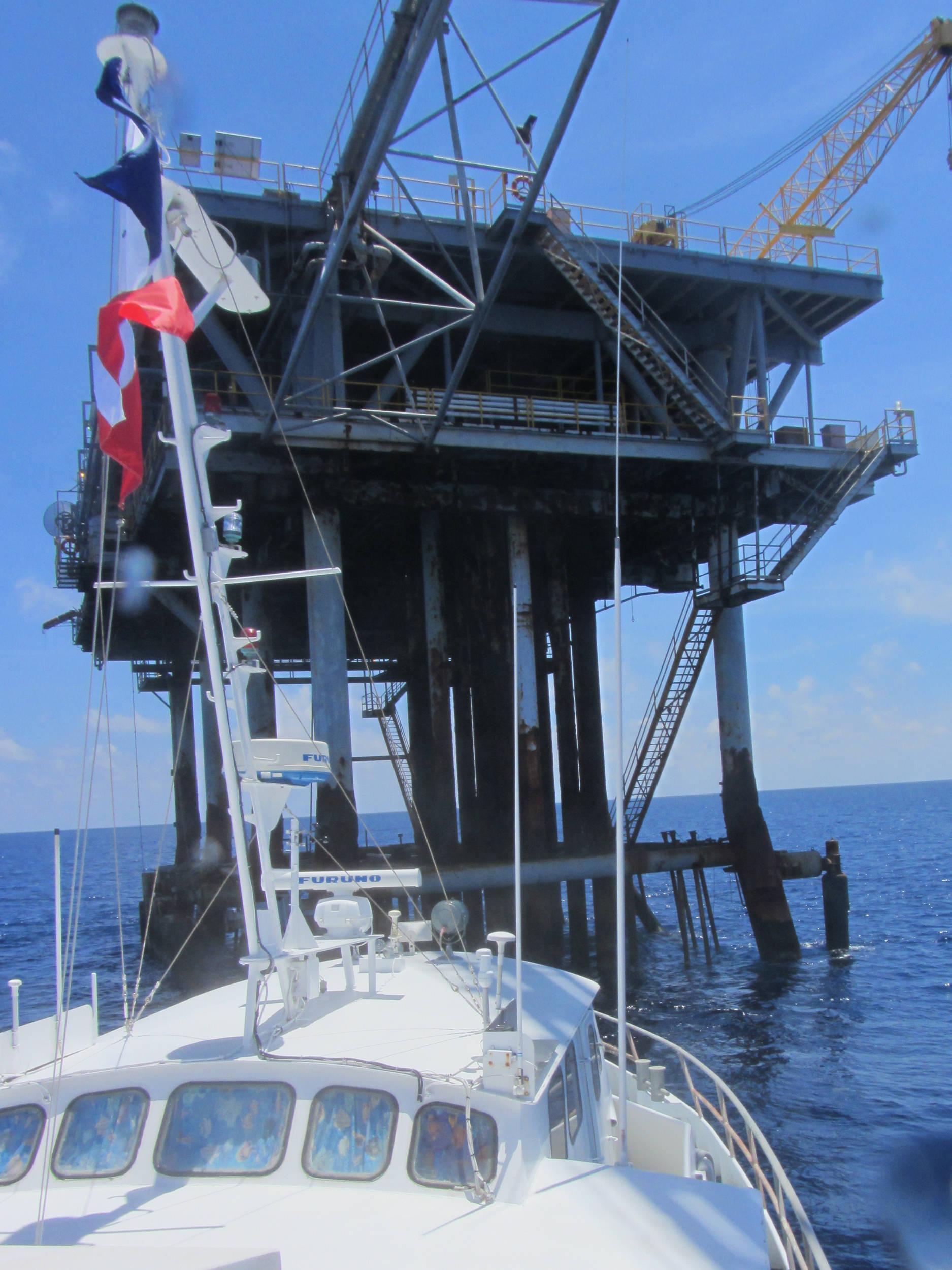 Flower_Gardens_62014-9867