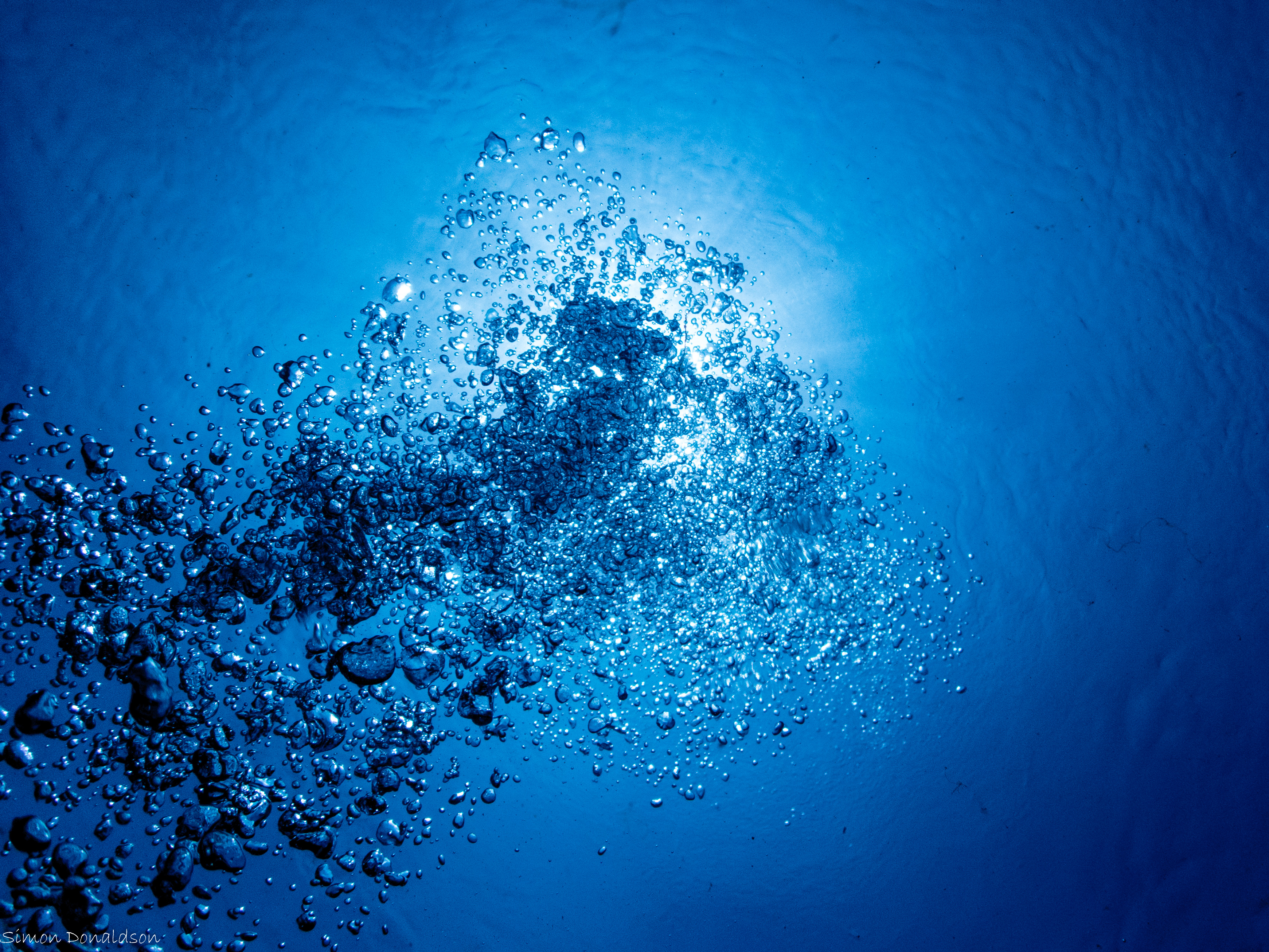 Forever Blowing Bubbles.jpg