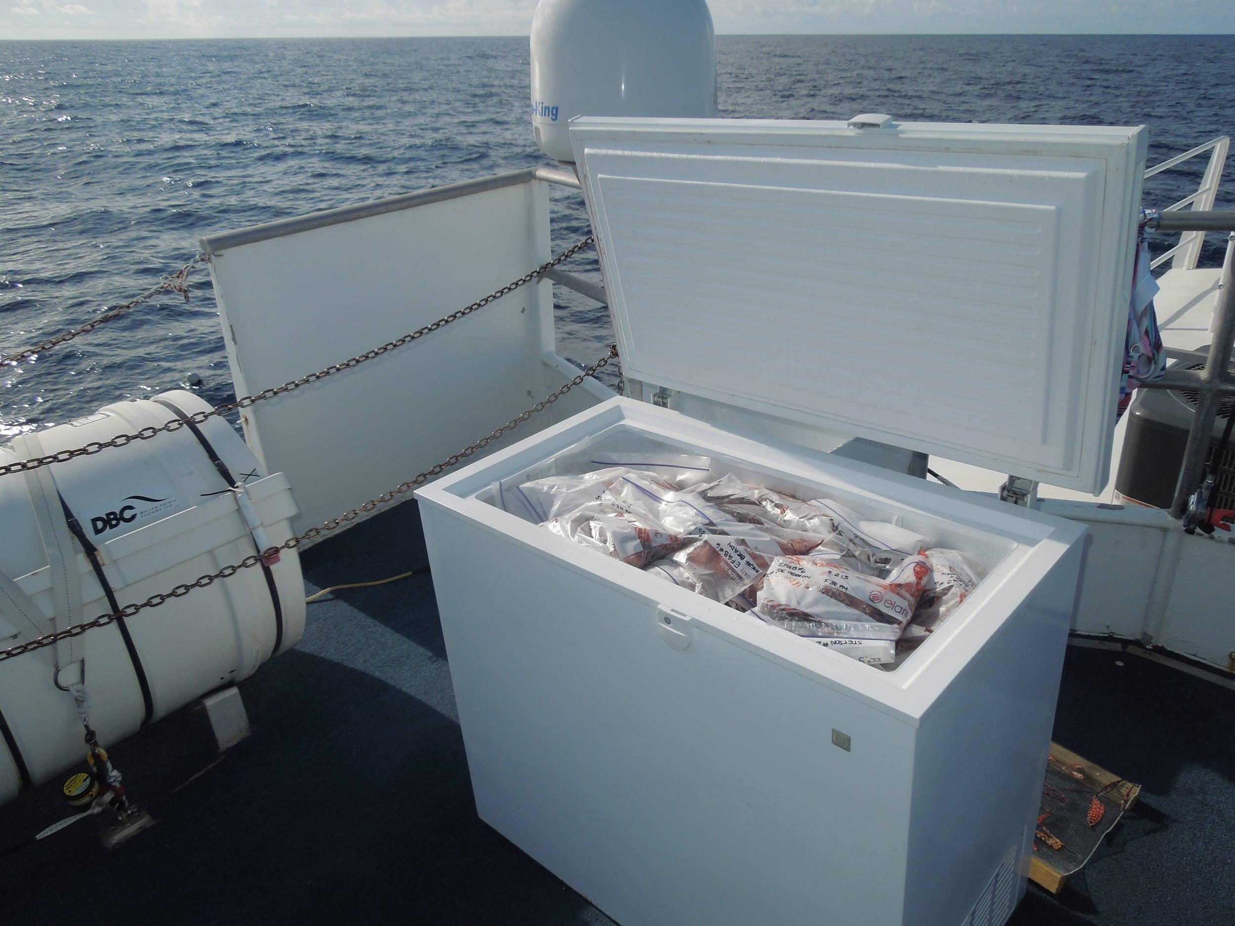 freezer full o' fish
