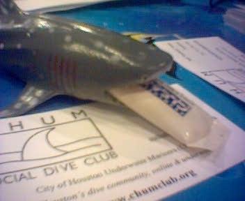 French Angel at night