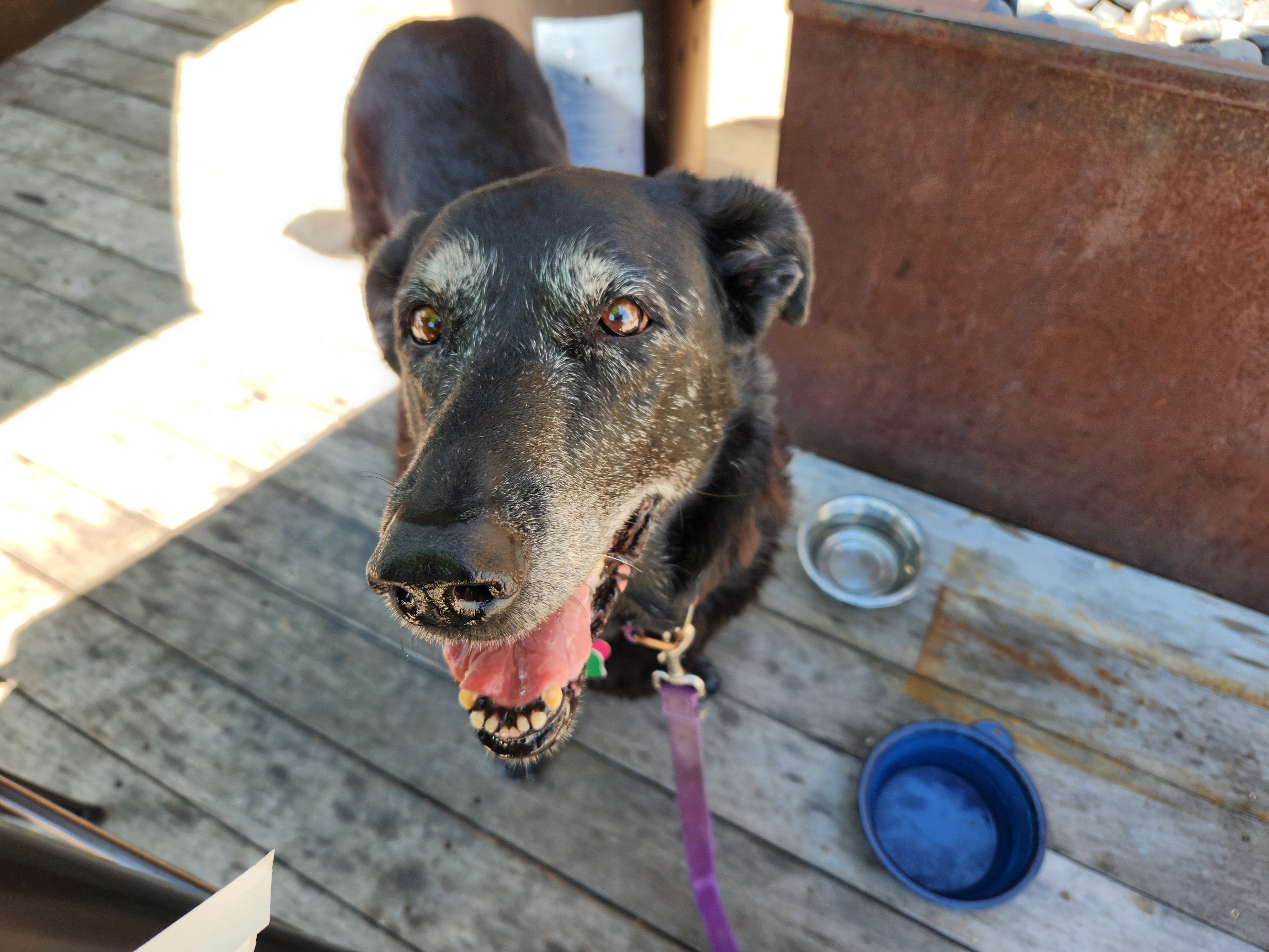 Friday lunch at Muck and Fuss