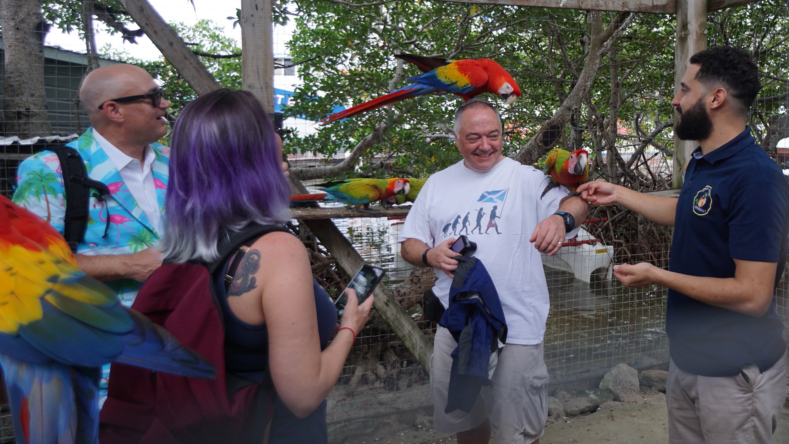 Fun With Parrots.jpg