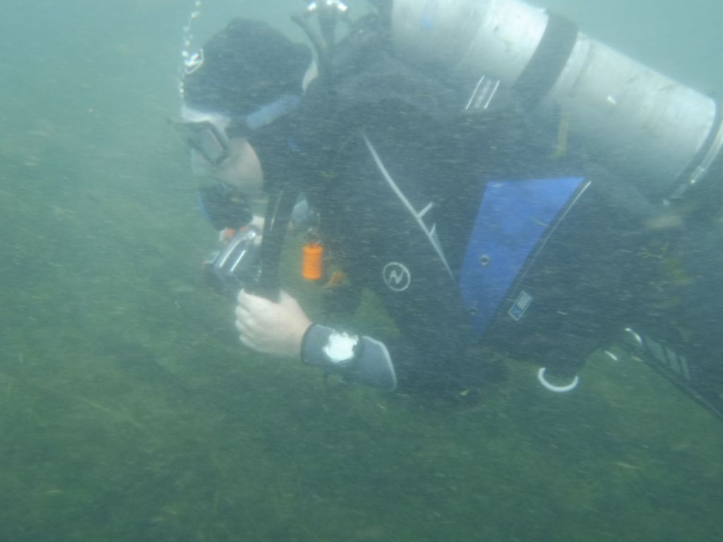 GaryDiver 01