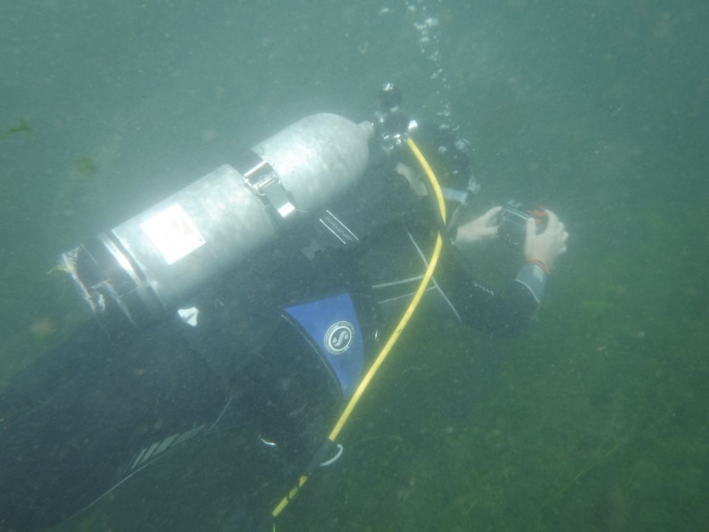 GaryDiver 02
