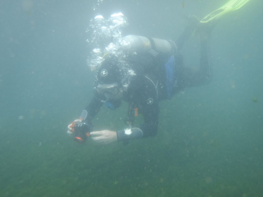 GaryDiver 03
