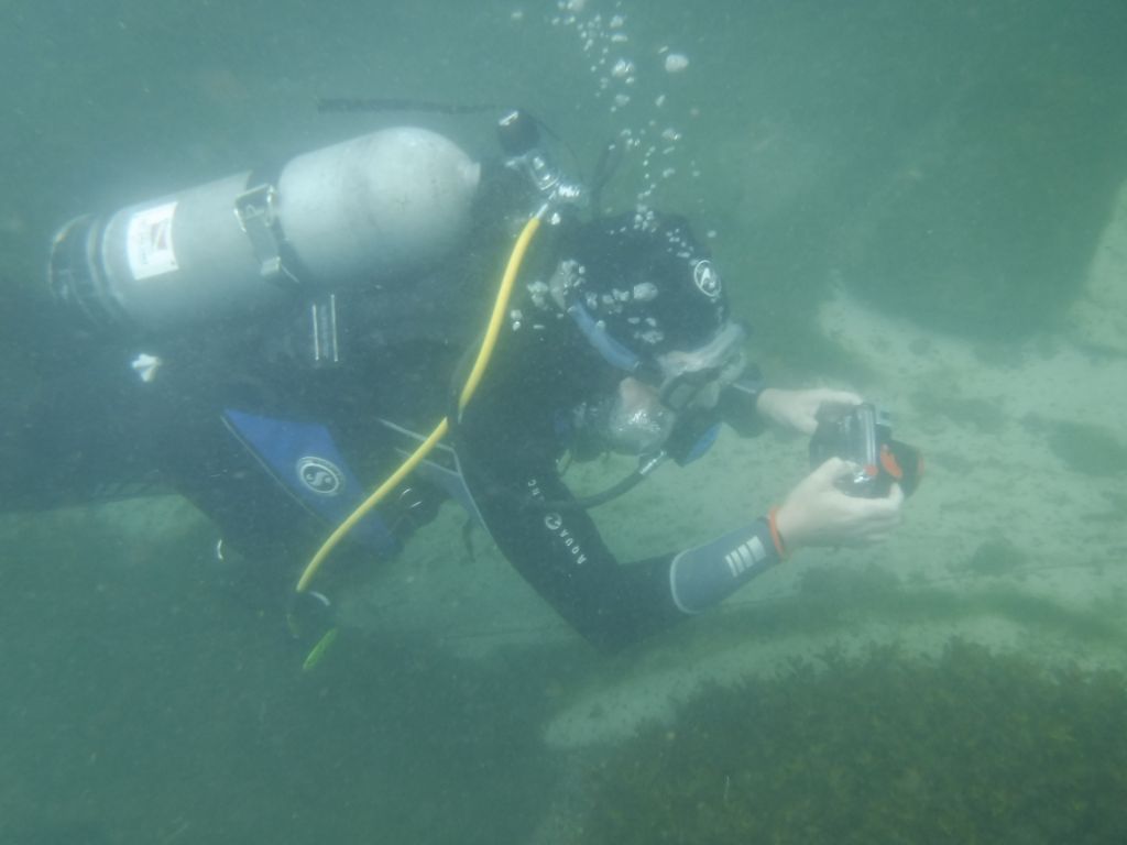 GaryDiver 05