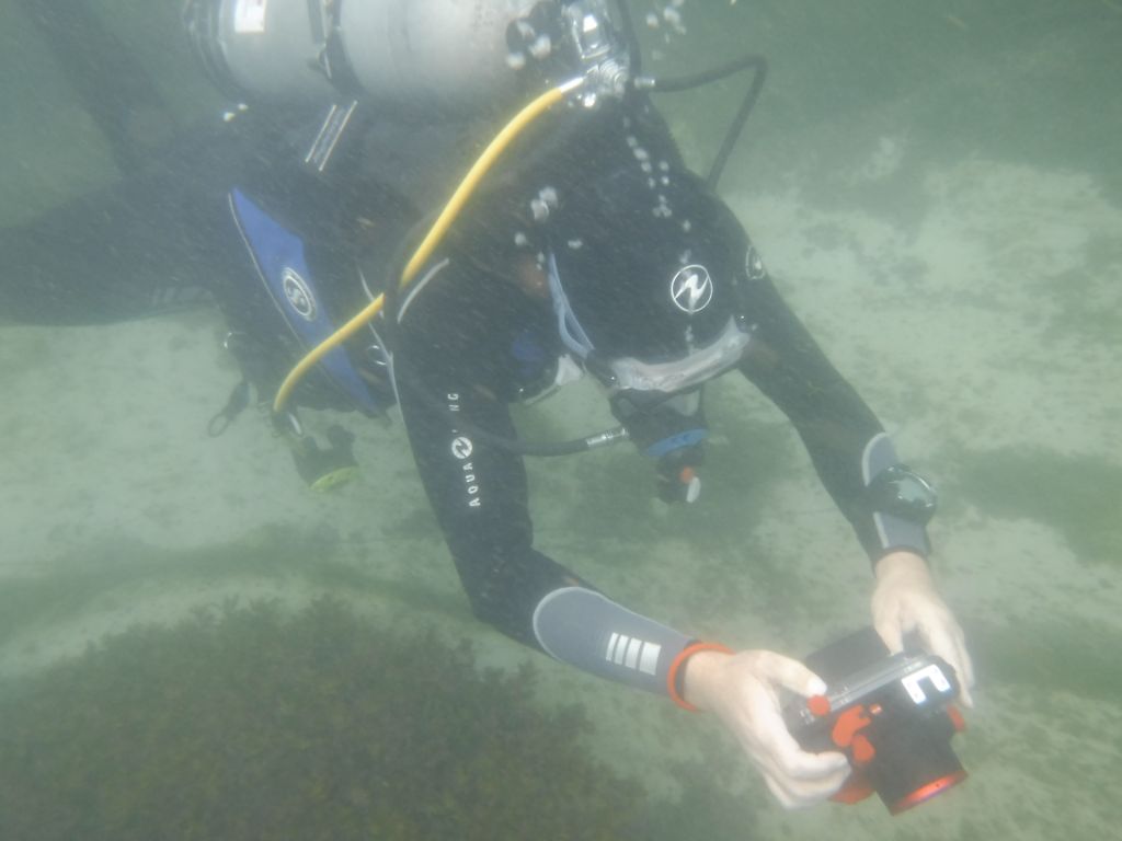 GaryDiver 06