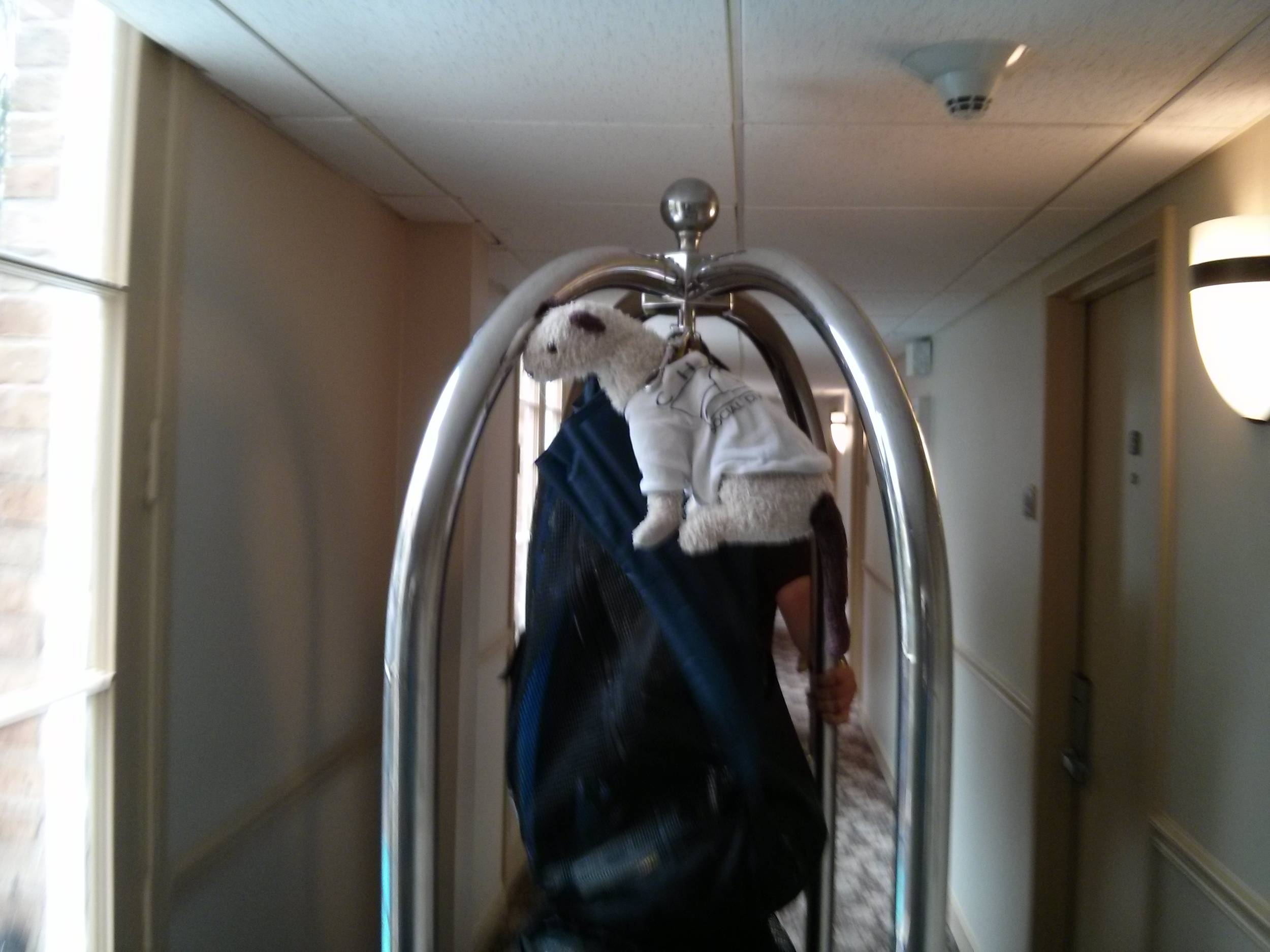 Getting chaufeurred to/from room
