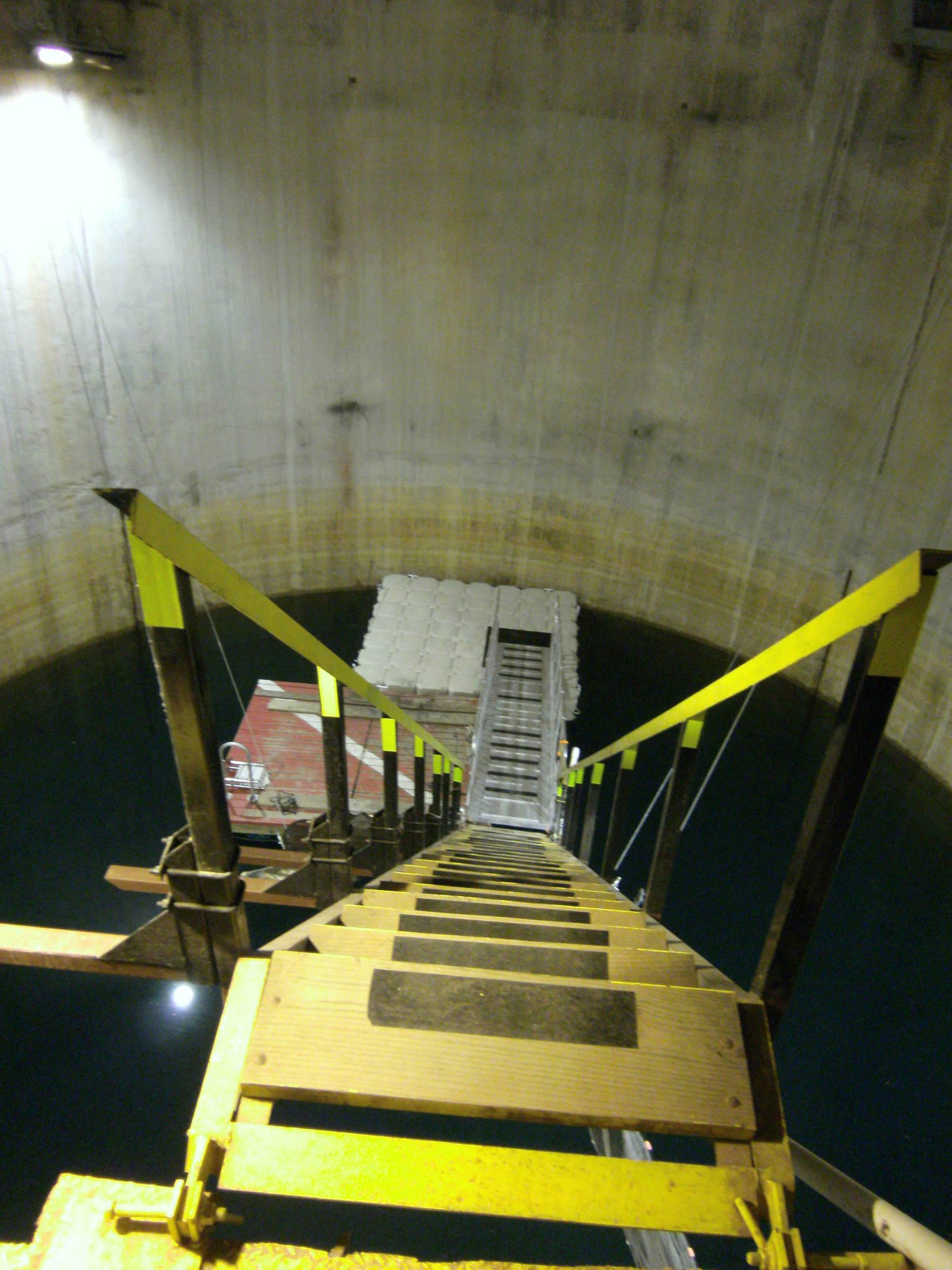 giant stride anyone?