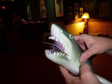 Gift card bearing shark