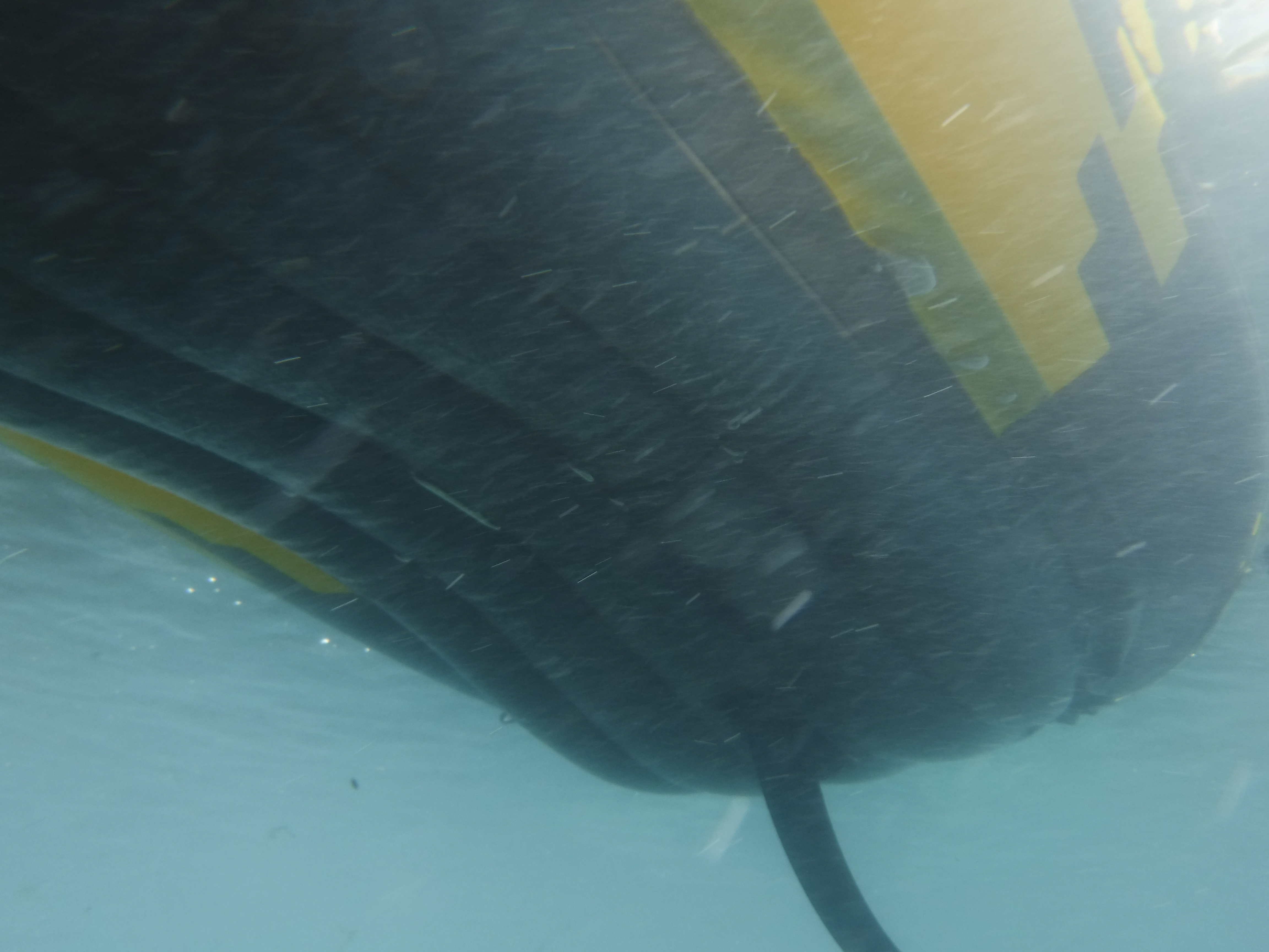 GlassBottomBoatWannaBe