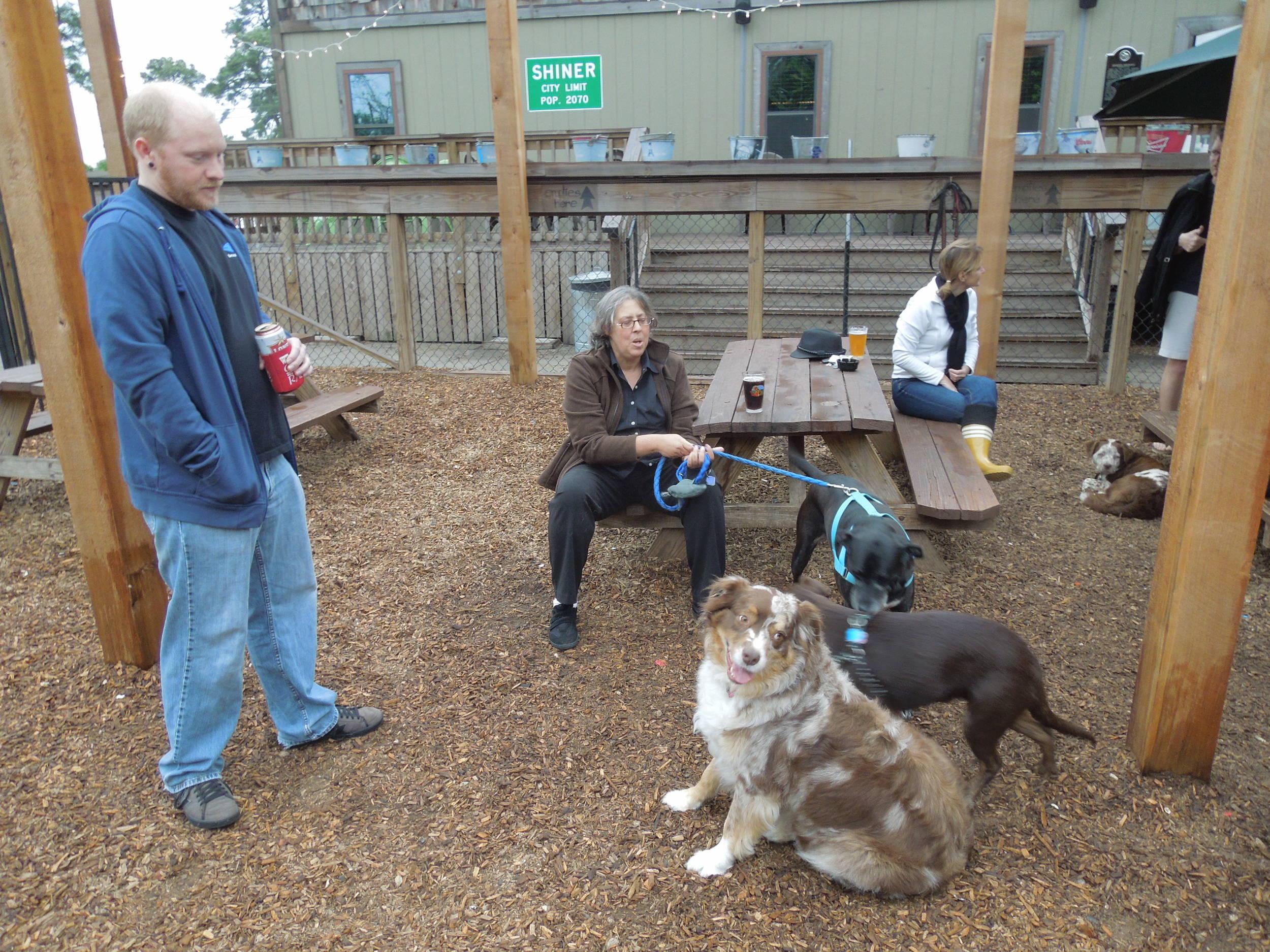 Going to the dogs