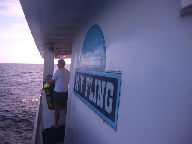 Good morning from the Fling