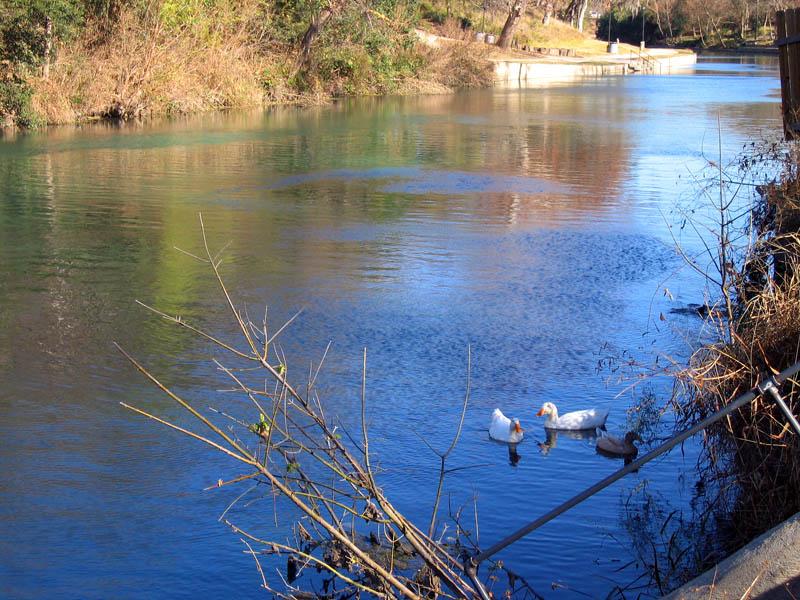 Gotta Love the Shirt