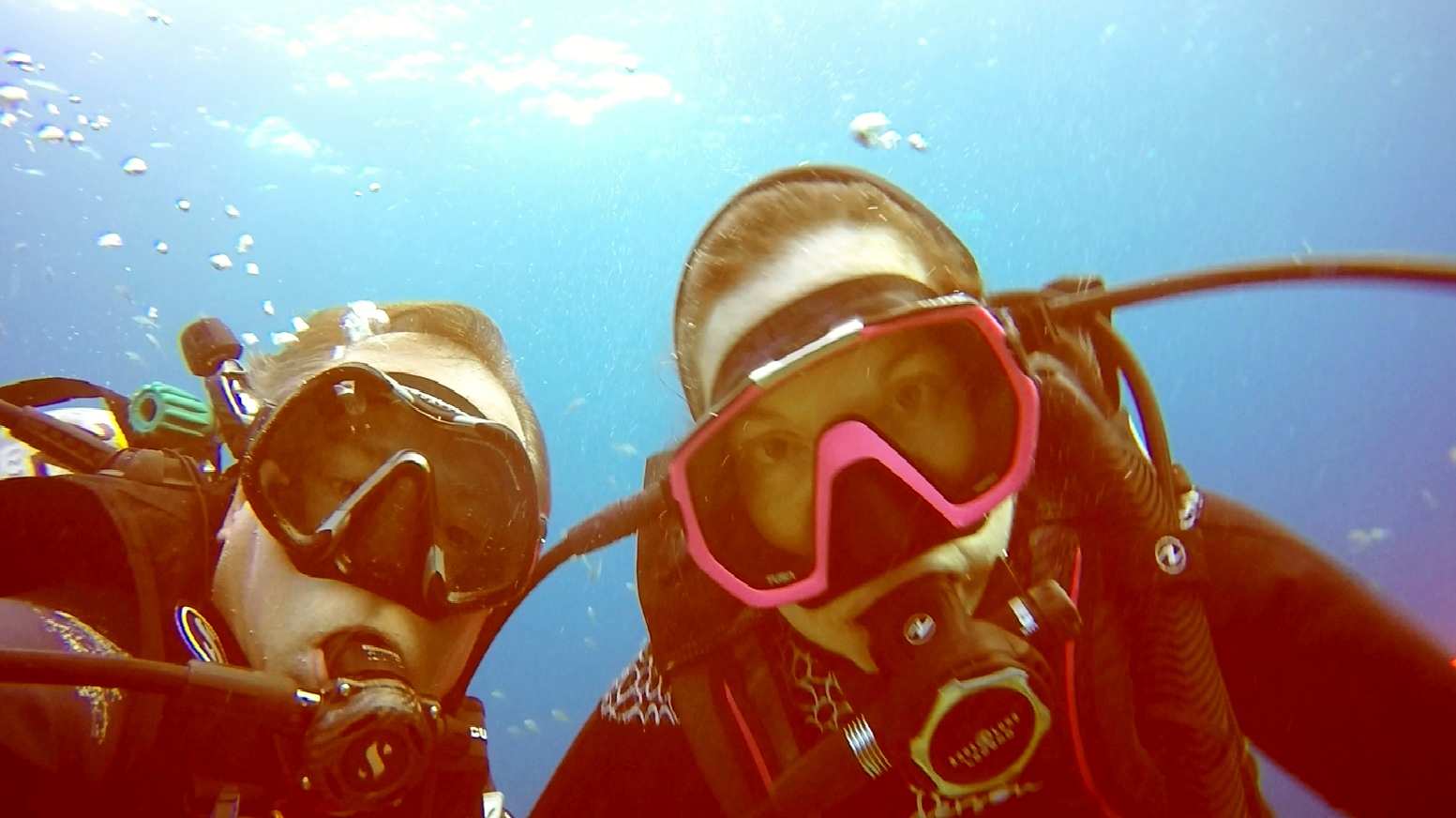 Gregg And Carol 2019 Bonaire