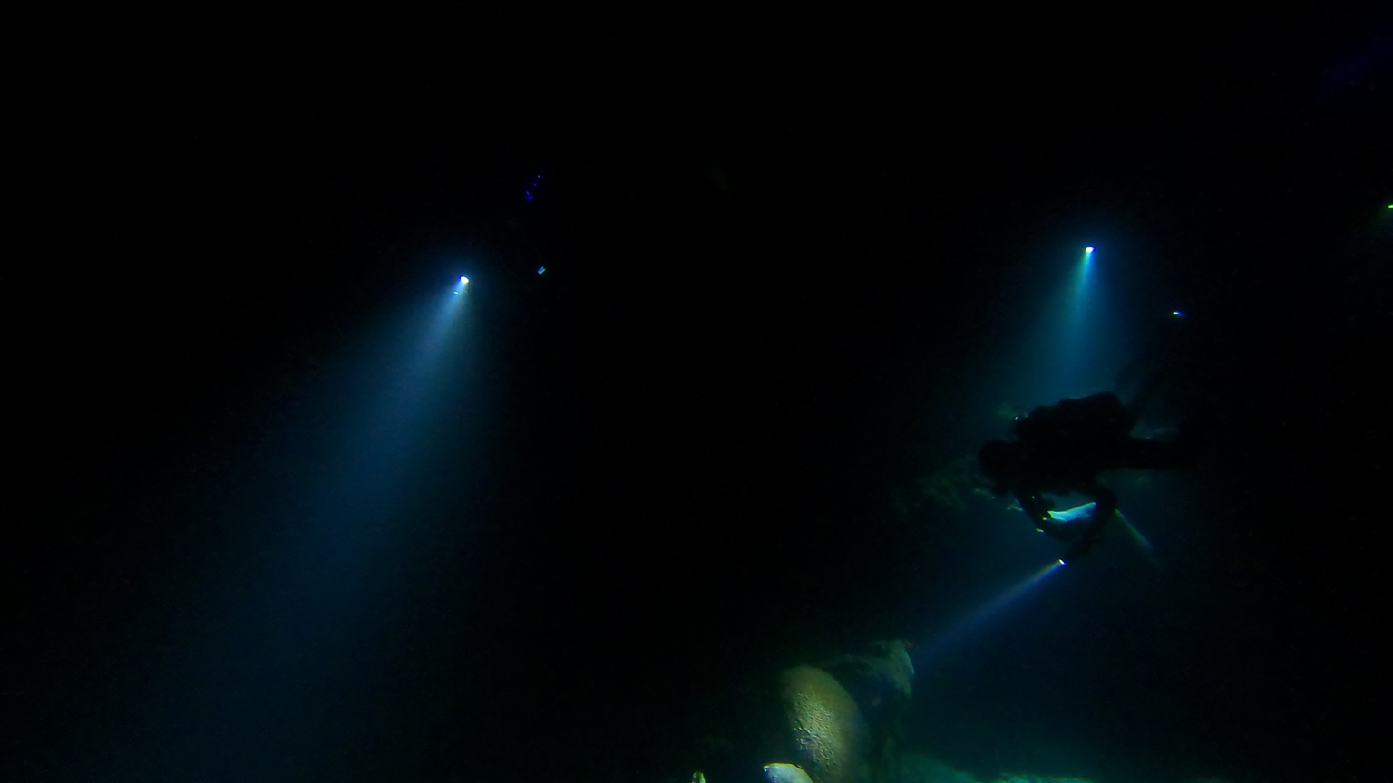 Group night dive