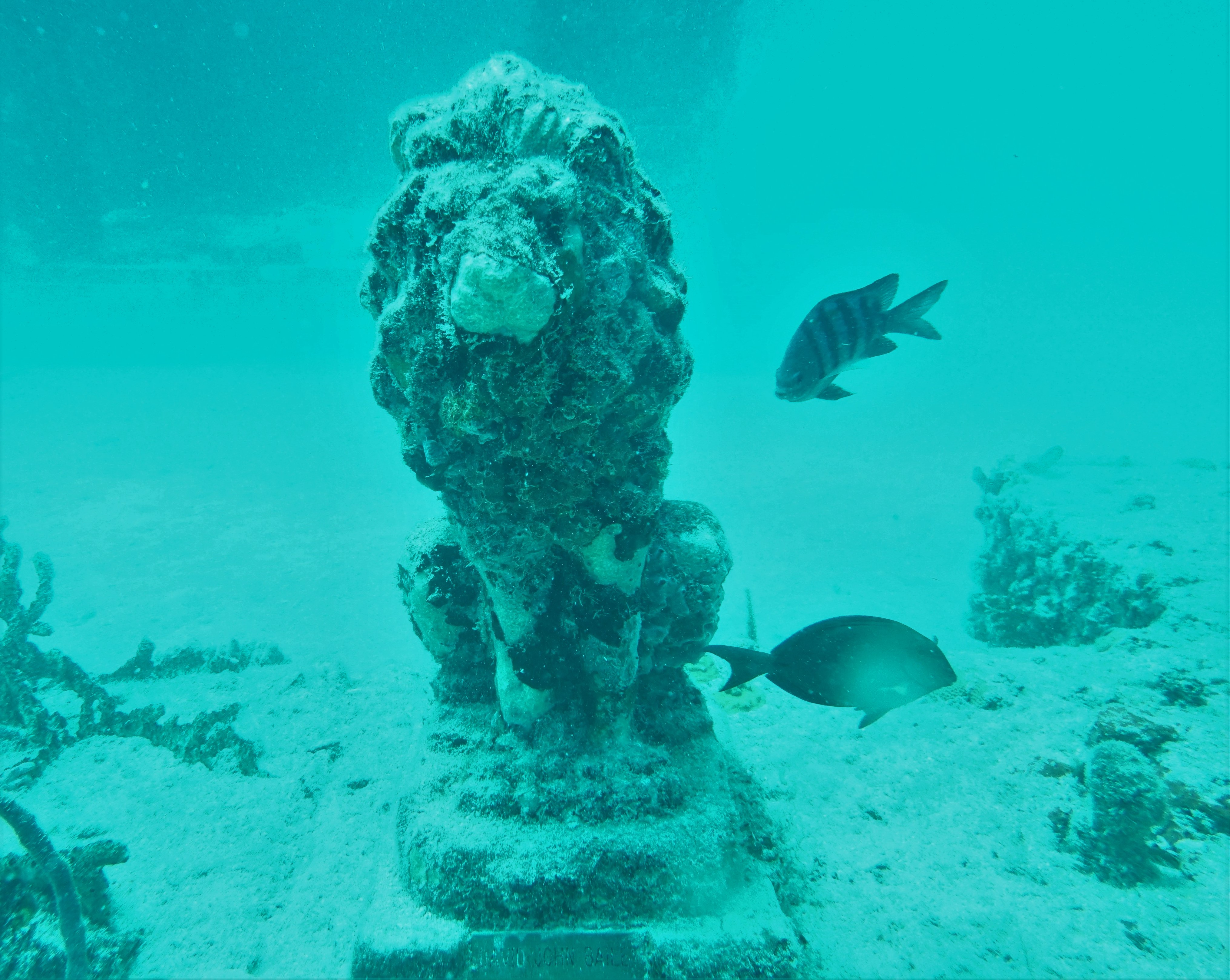 Guardian of Neptune Reef.jpg