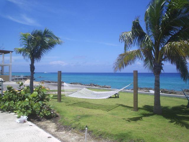 hammock in the cayman's