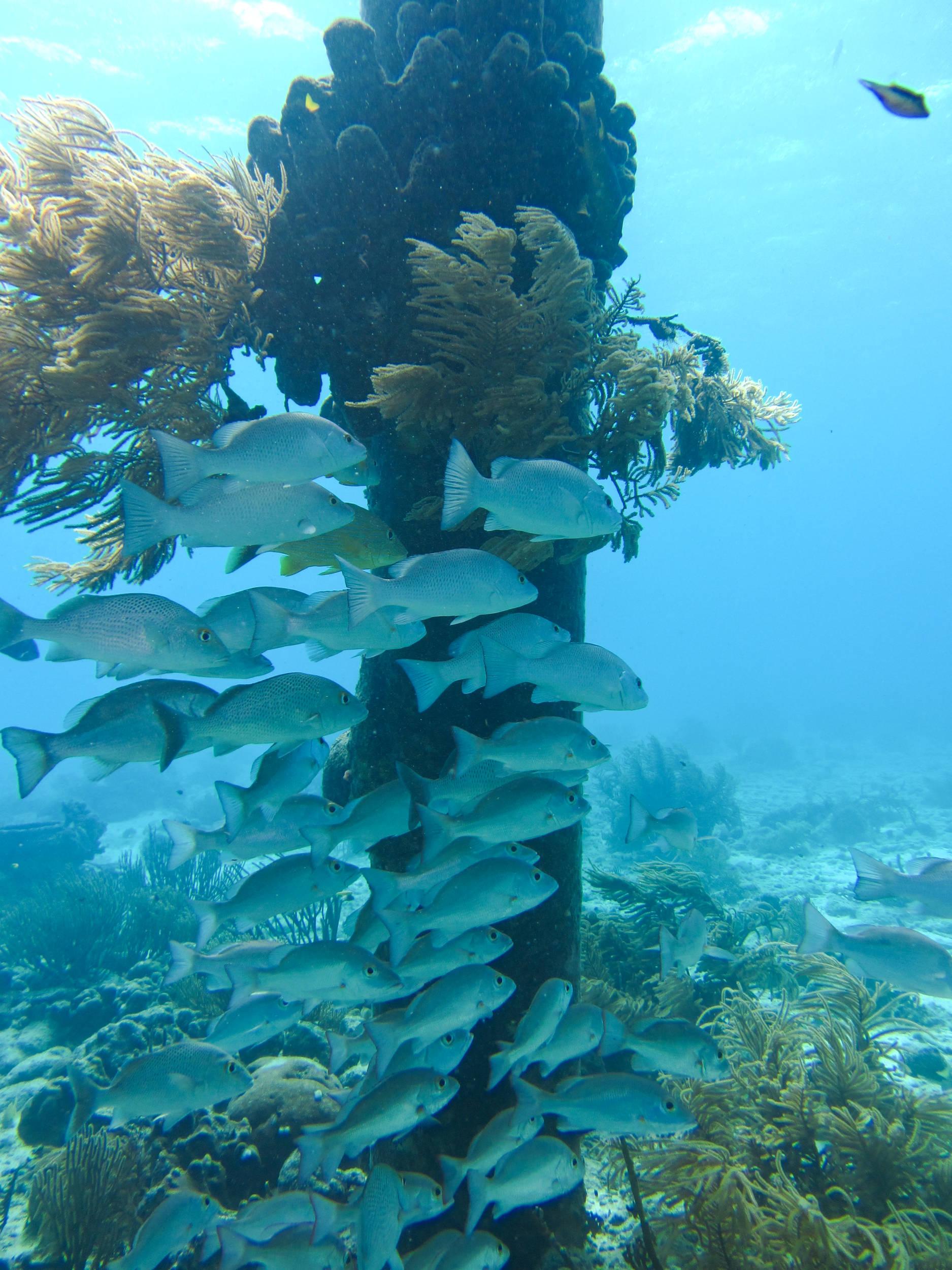 Hanging out at salt Pier
