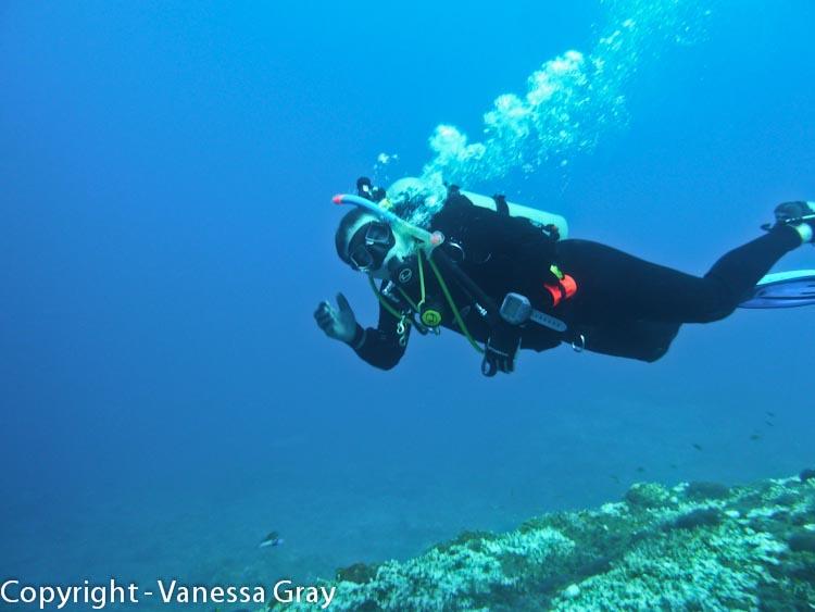 Happy Diver