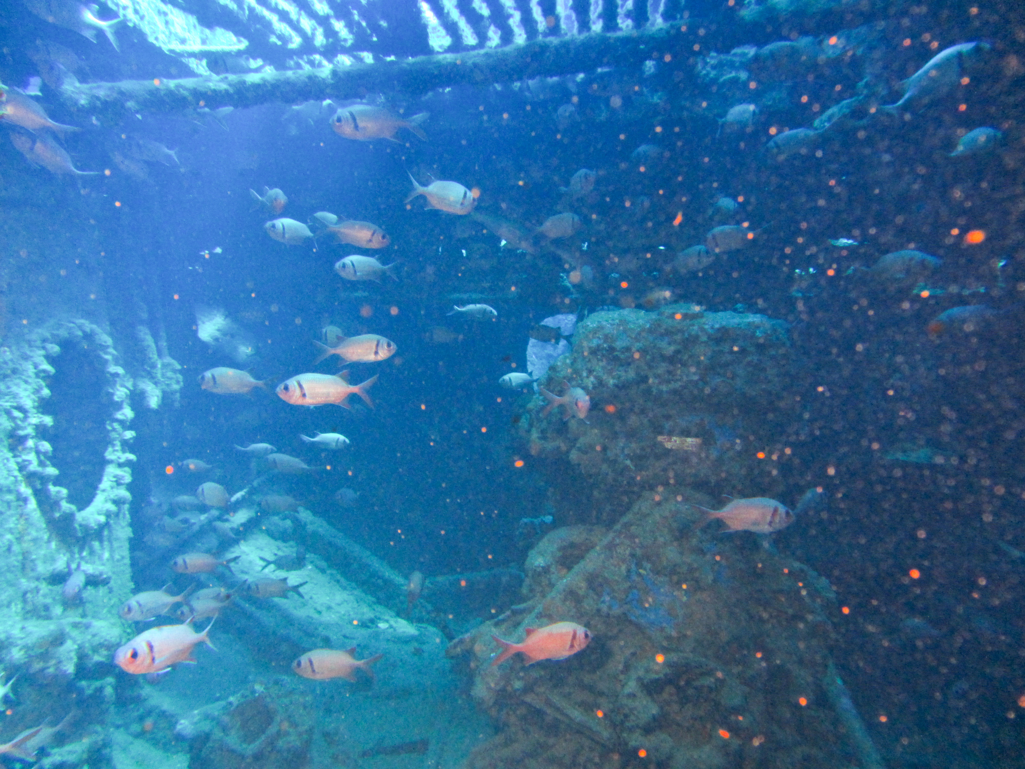 Hawaii Carthegenian Cargo Hold-7776