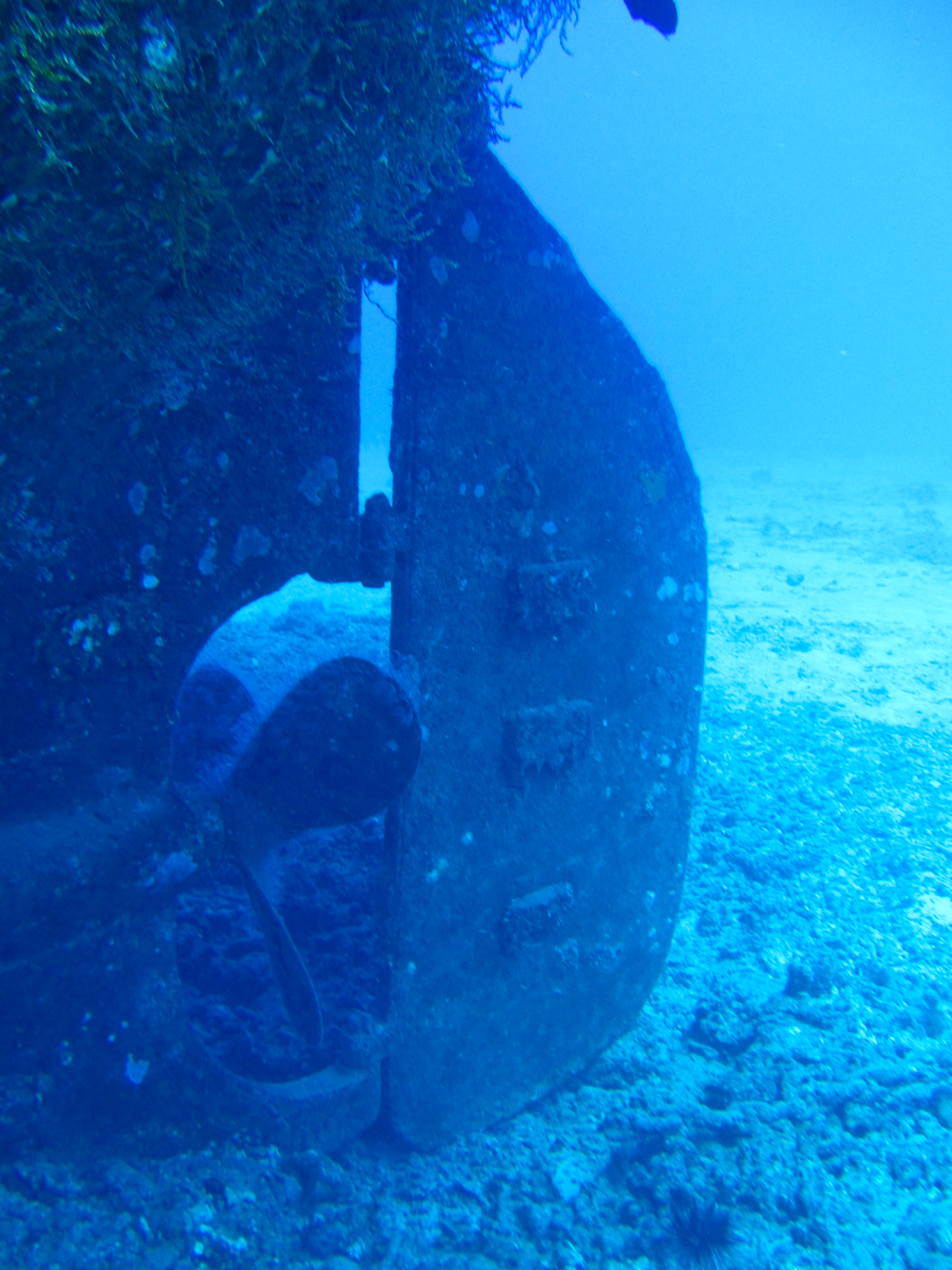 Hawaii Carthegenian Prop And Rudder-7749