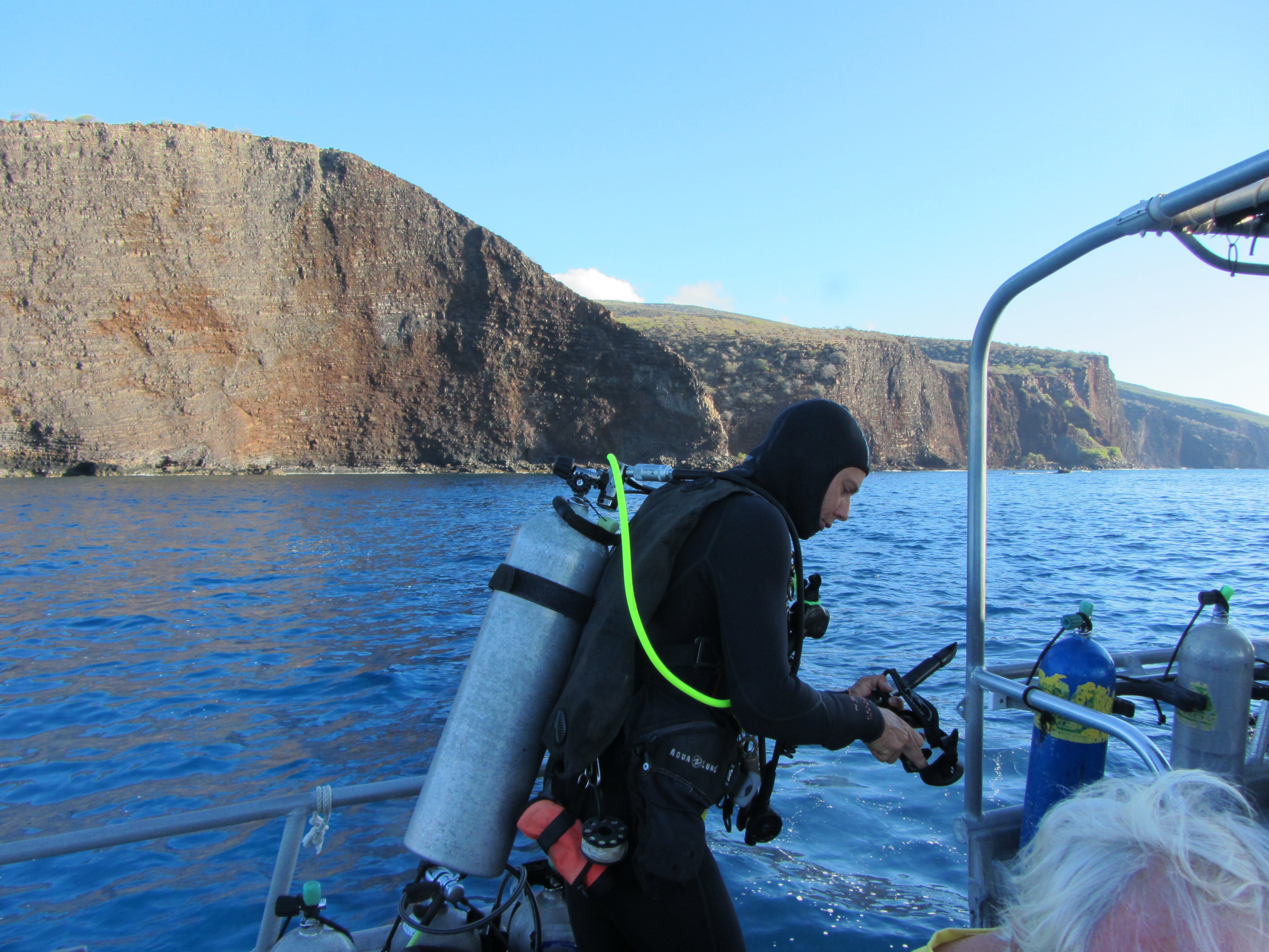 Hawaii Fish Rock DM Mikhail-7464