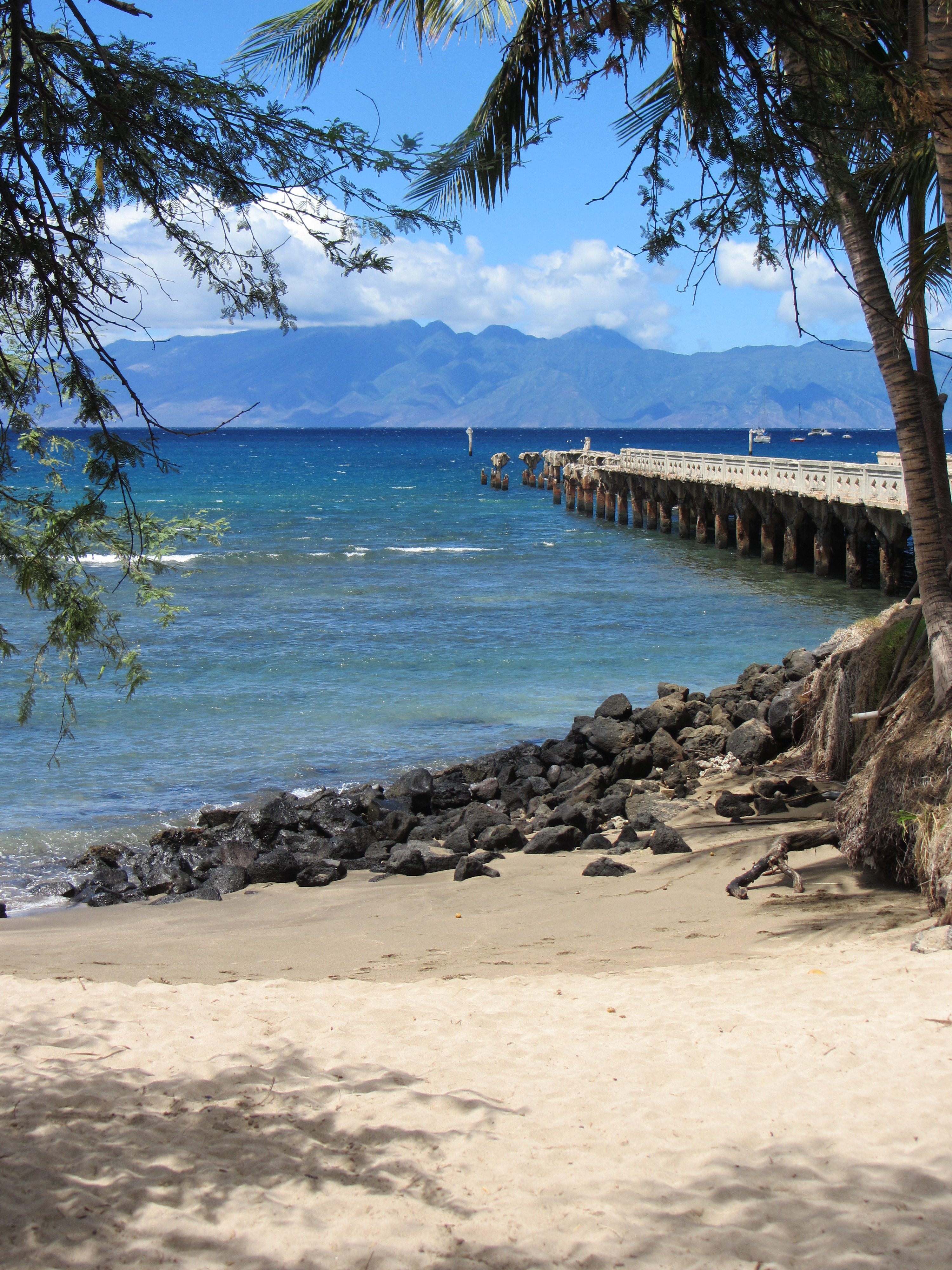 Hawaii Mala Pier For Shore Dive-7243