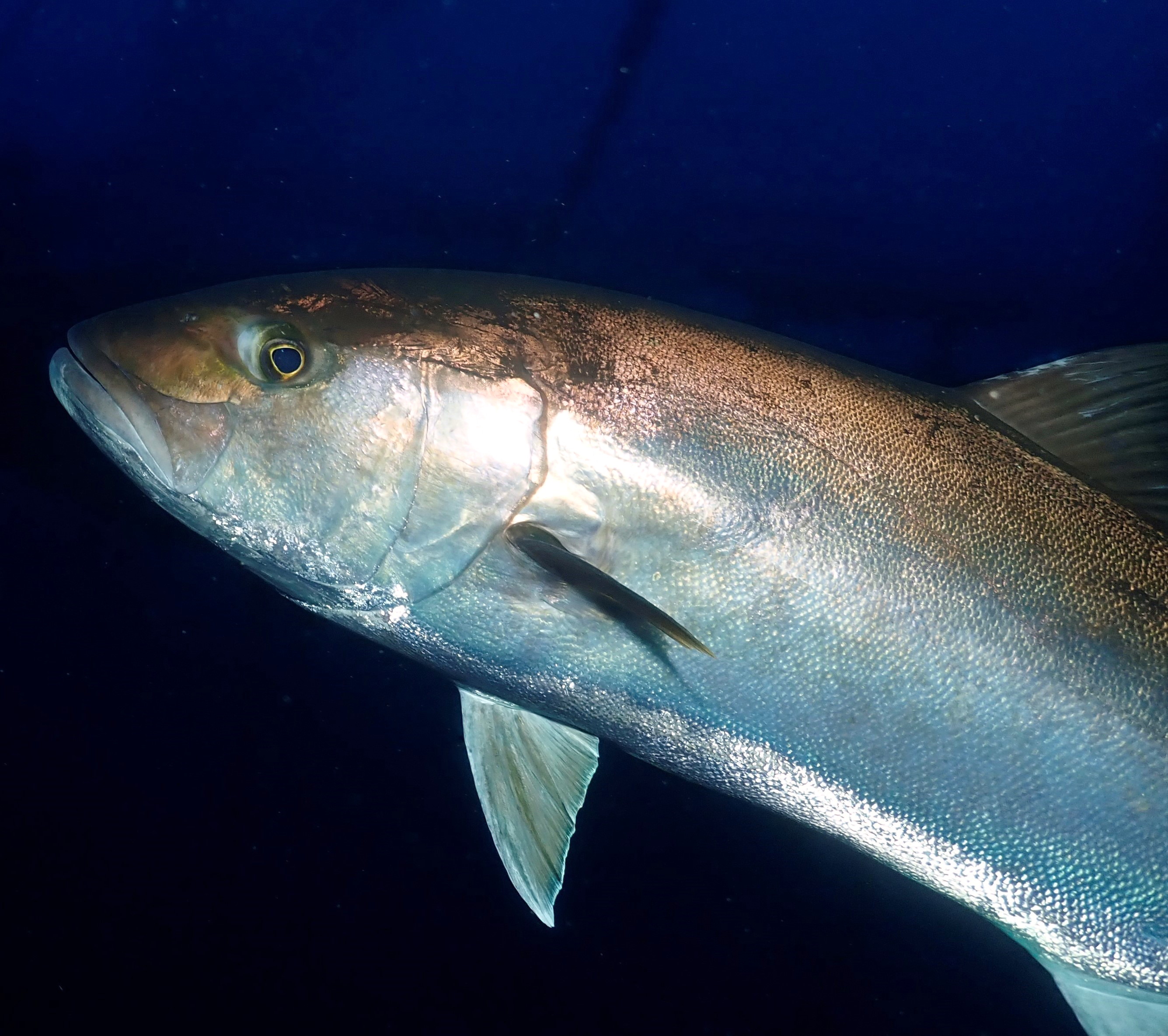 Here's lookin' at ya