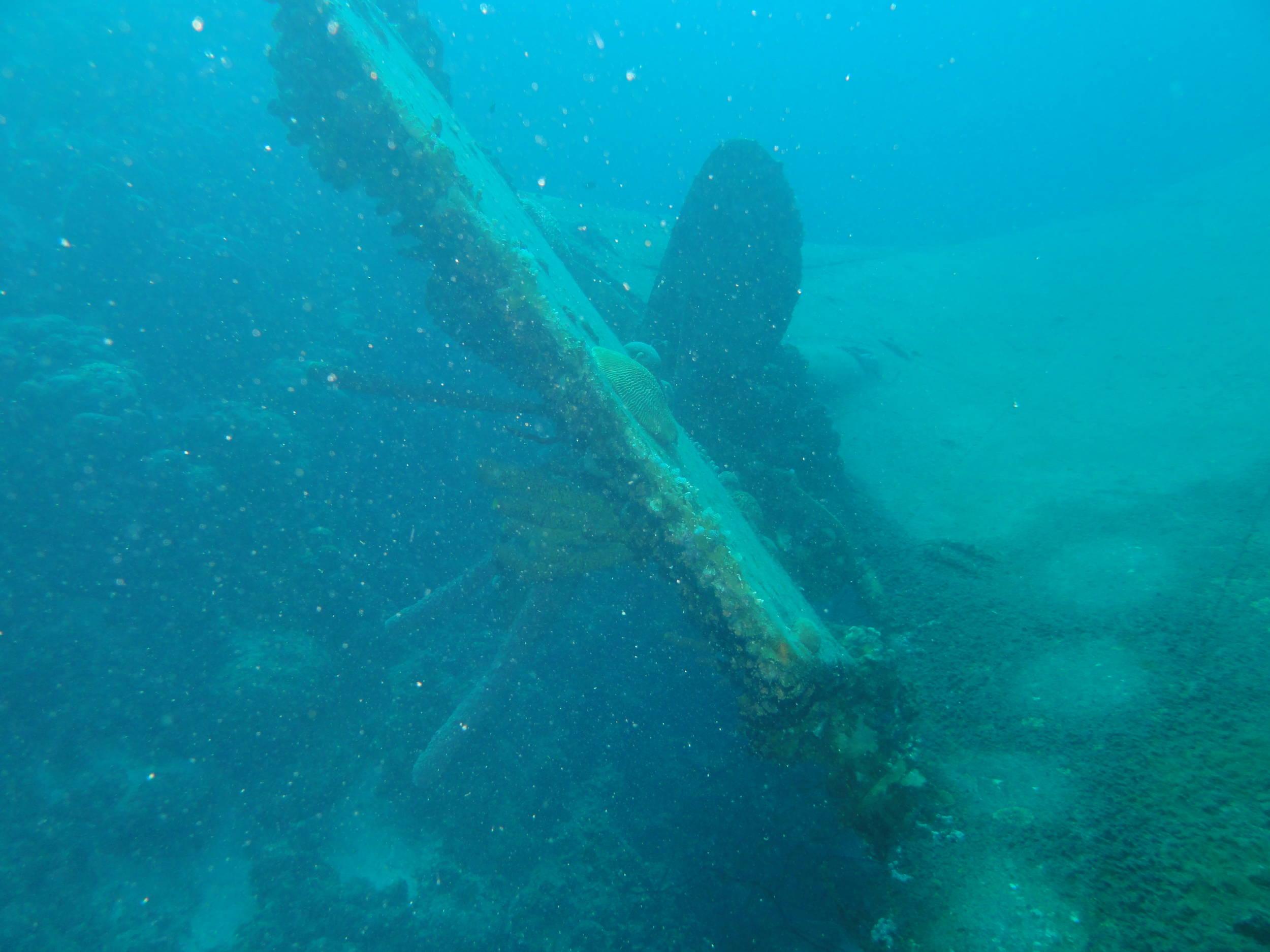 Hilma Hooker rudder & prop