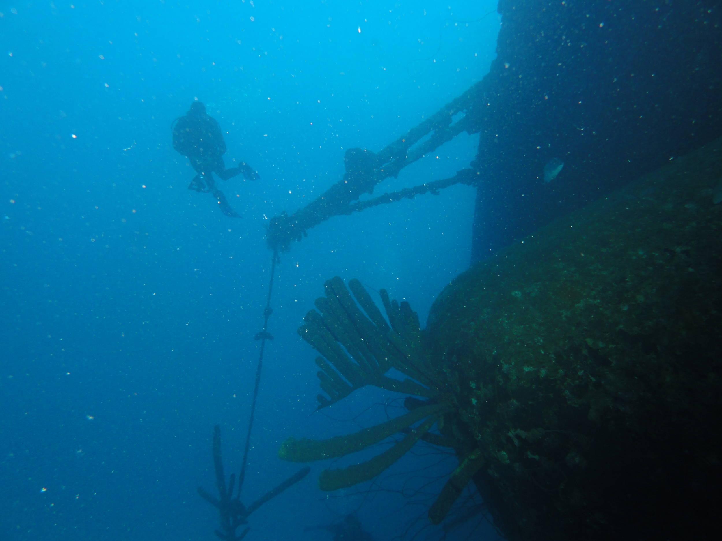 Hilma Hooker wreck