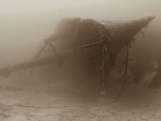 Hilma Hooker