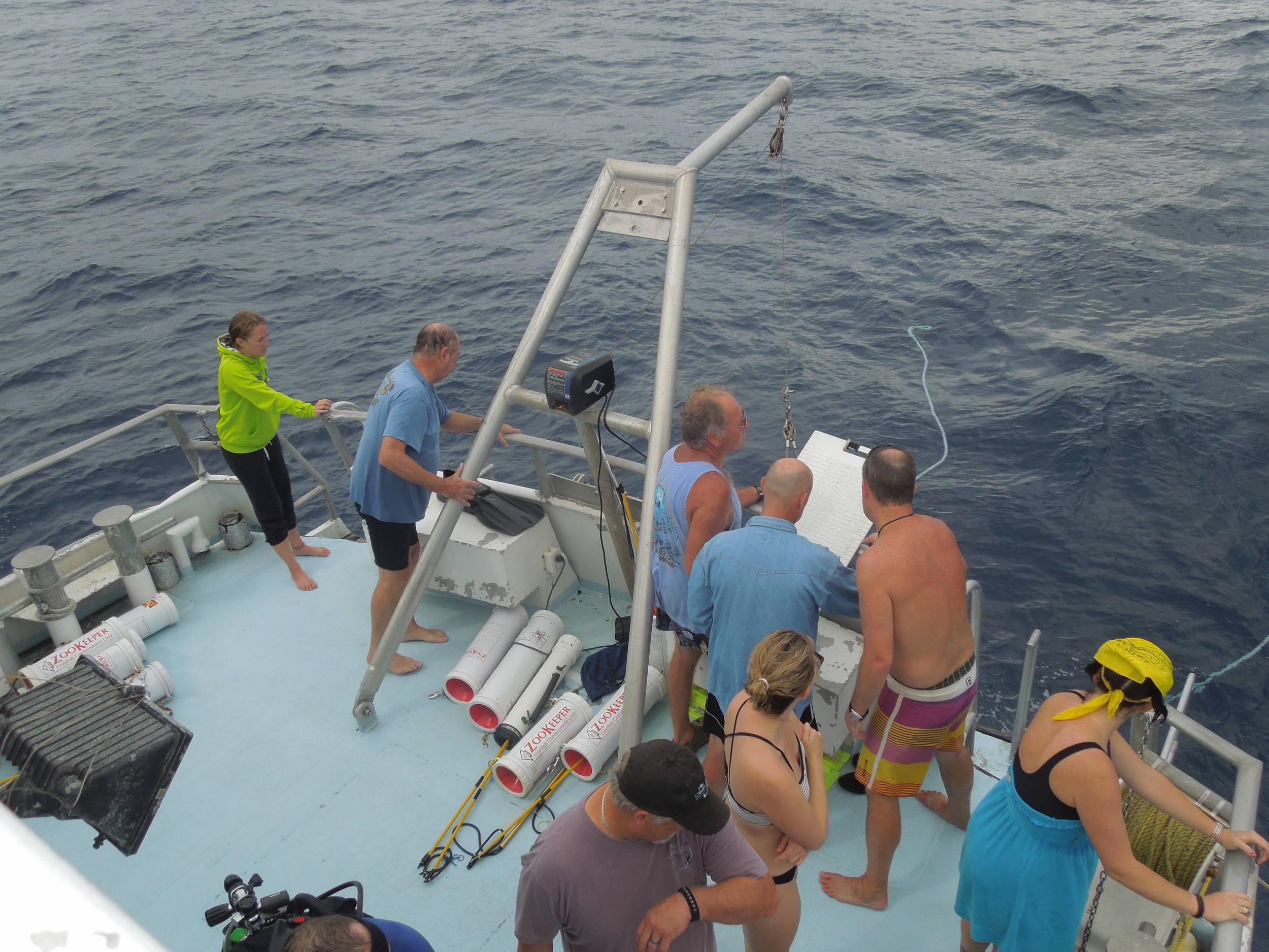 Hmmm, who's not back on the boat?
