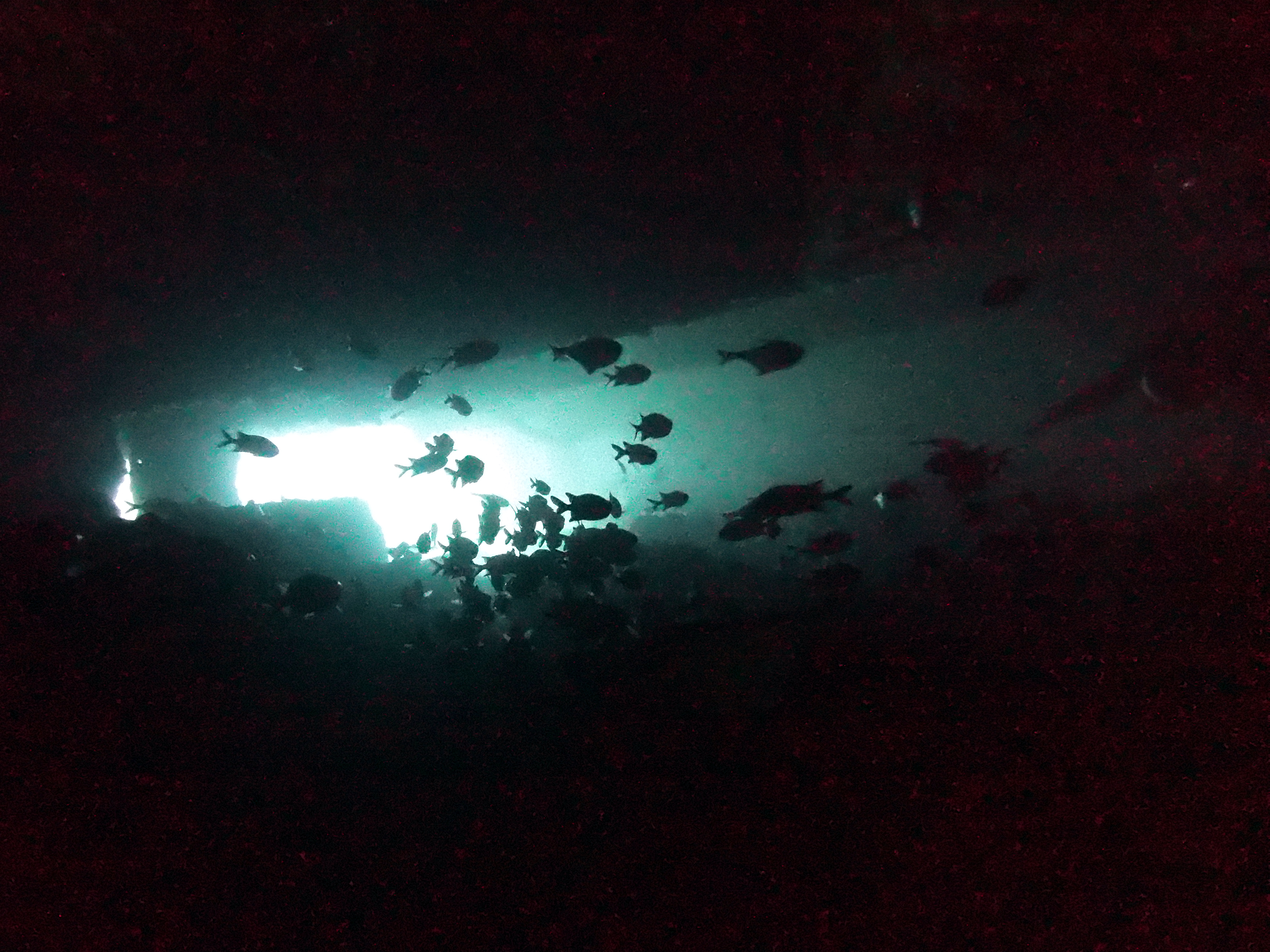 Hole in the Thistlegorm