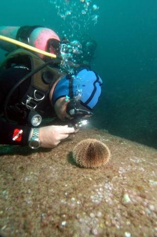 Holmes takes on a new case