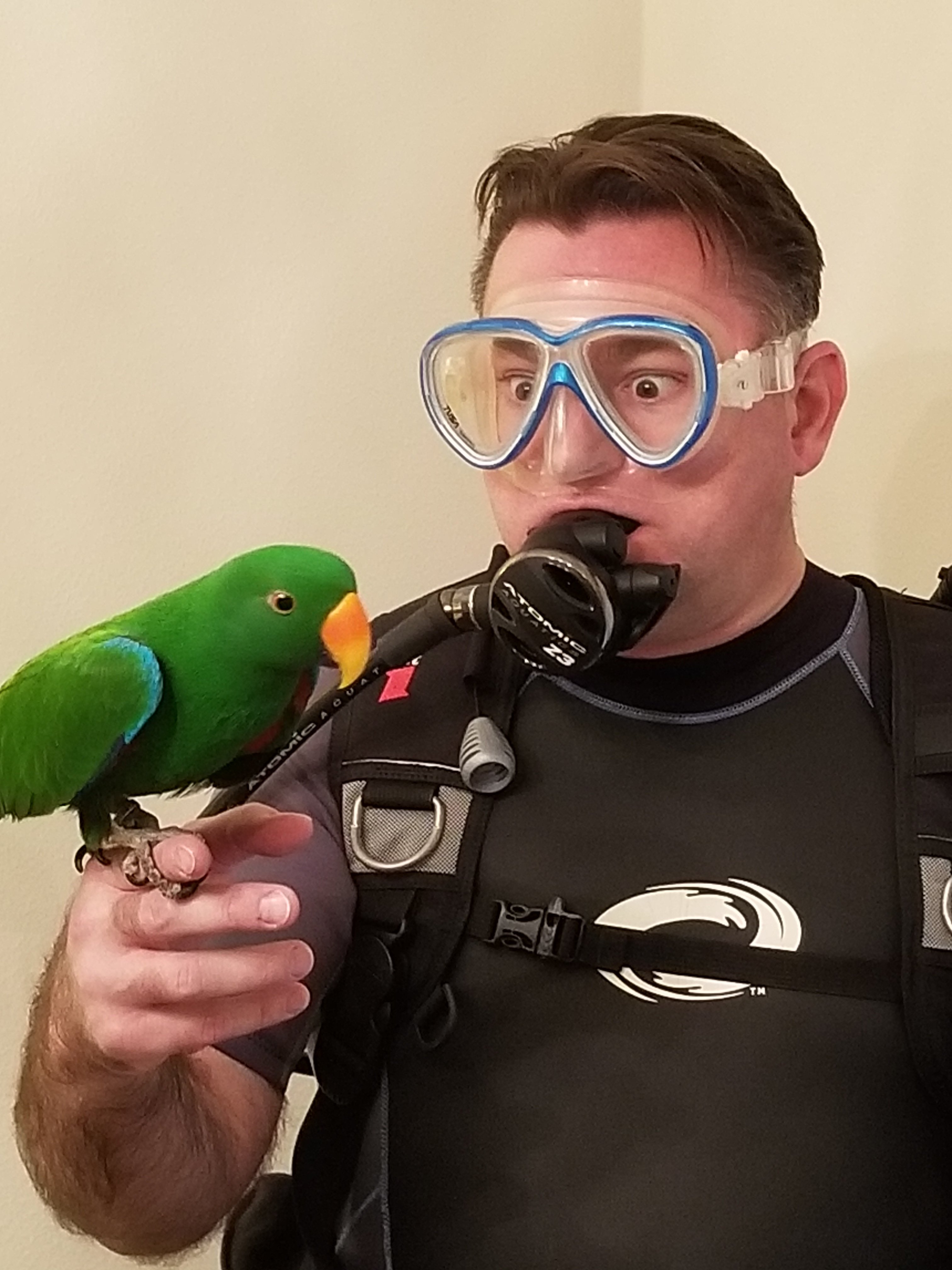 HOLY TAIL FEATHERS!!!!  Is that a parrot fish or an exotic green bird wrasse???